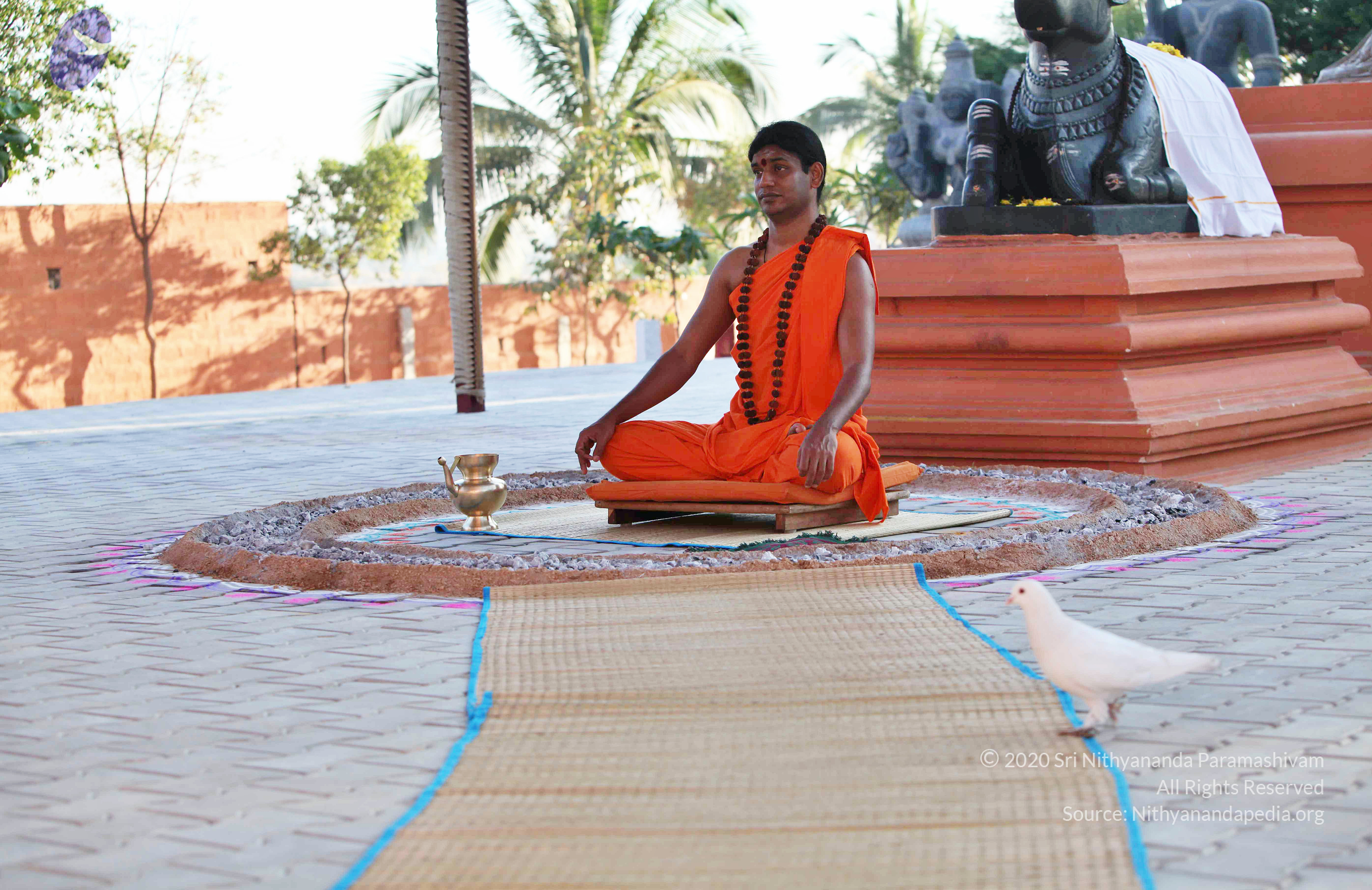 20110201_Photo_1034_IMG_2533_CMP_WM