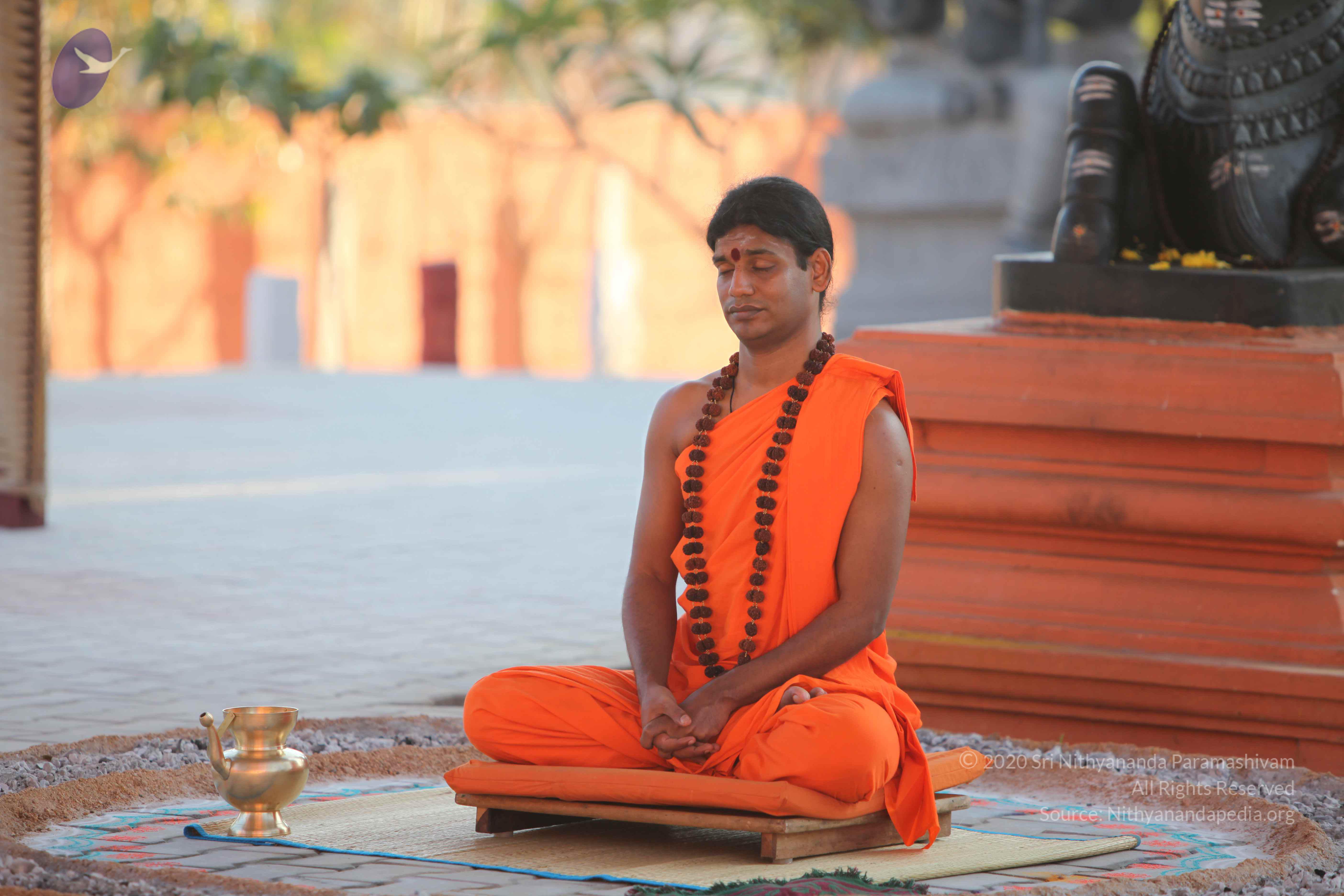 20110201_Photo_1037_IMG_2551_CMP_WM