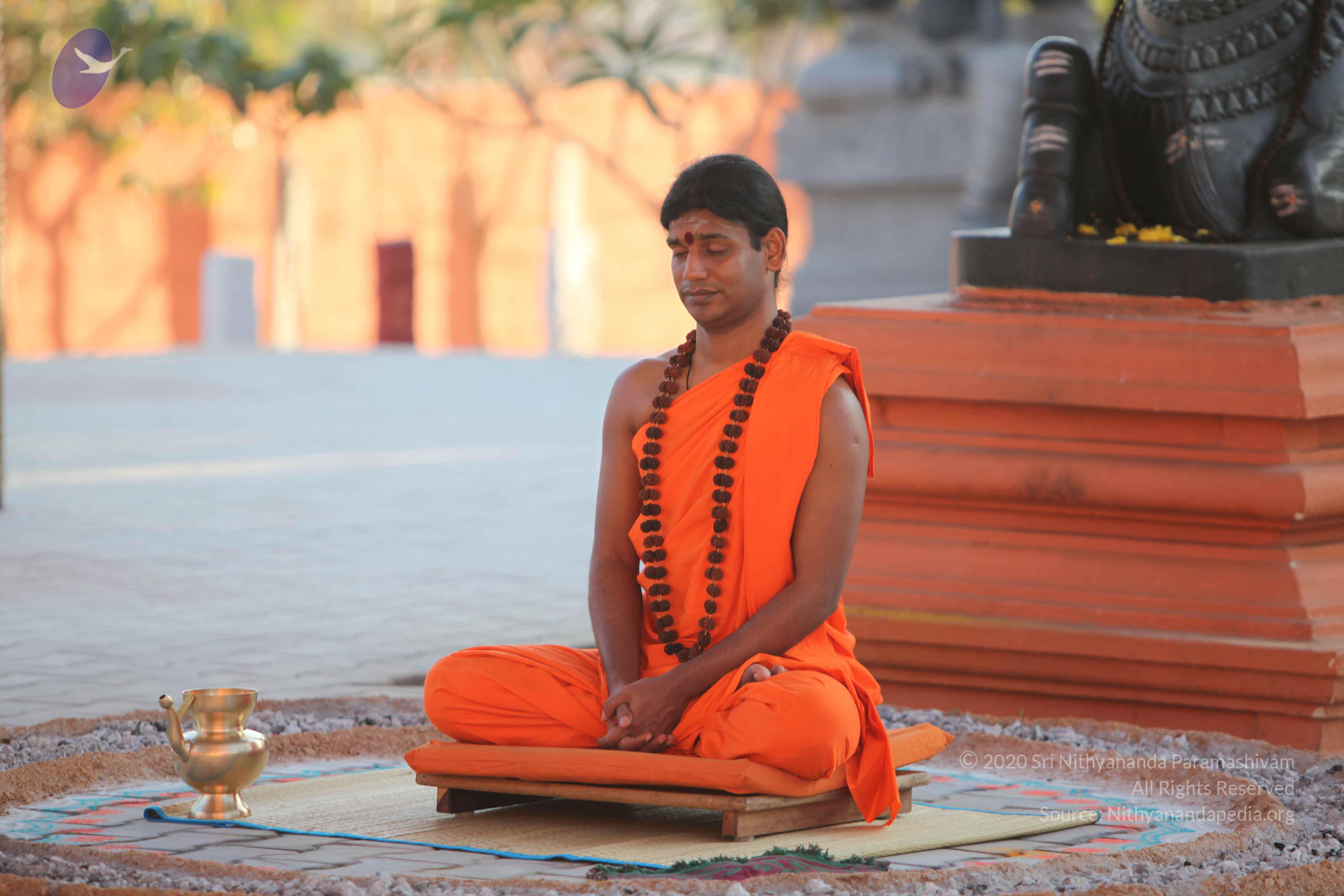 20110201_Photo_1038_IMG_2540_CMP_WM