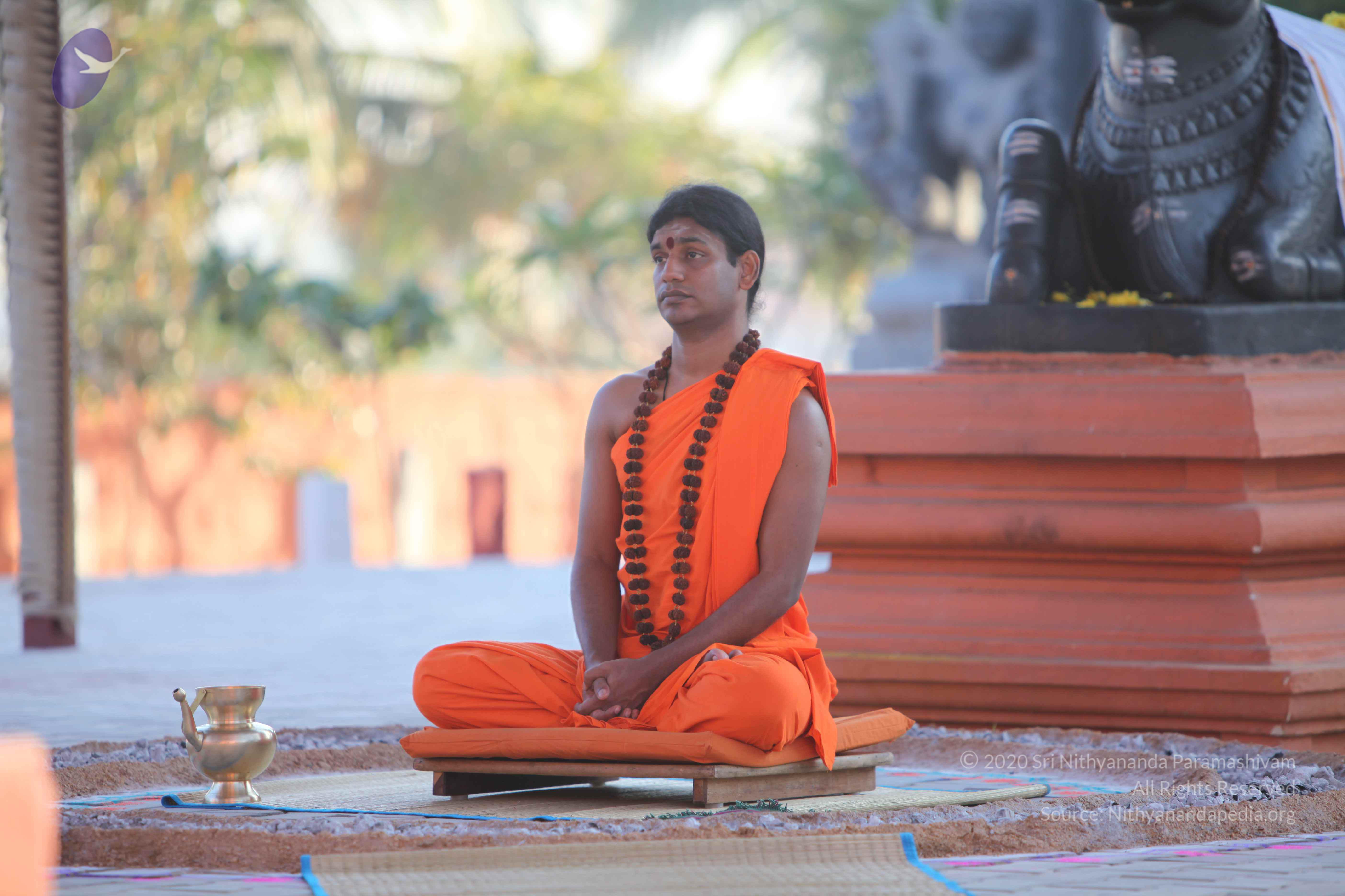 20110201_Photo_1039_IMG_2454_CMP_WM