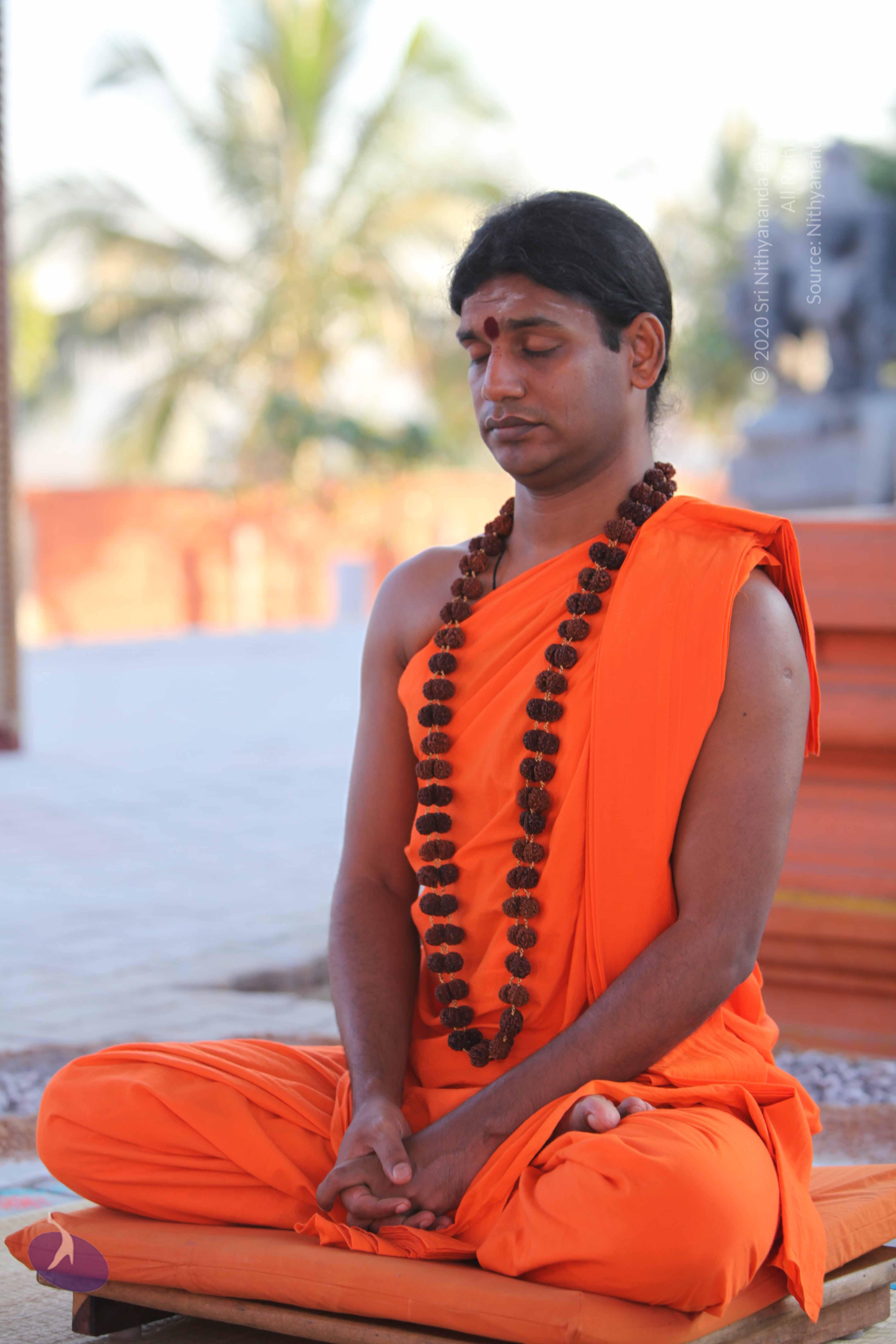 20110201_Photo_1042_IMG_2436_CMP_WM