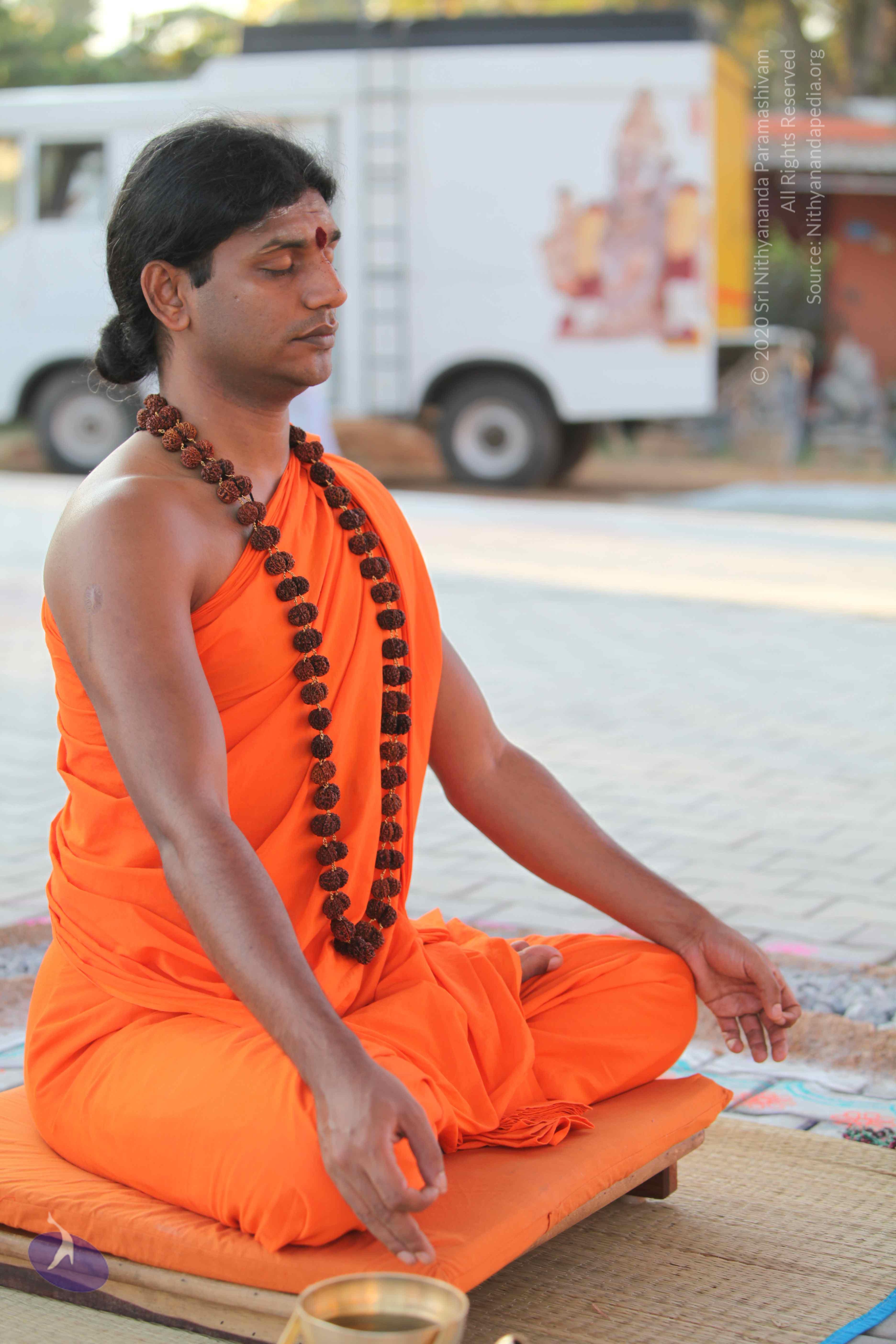 20110201_Photo_1044_IMG_2380_CMP_WM