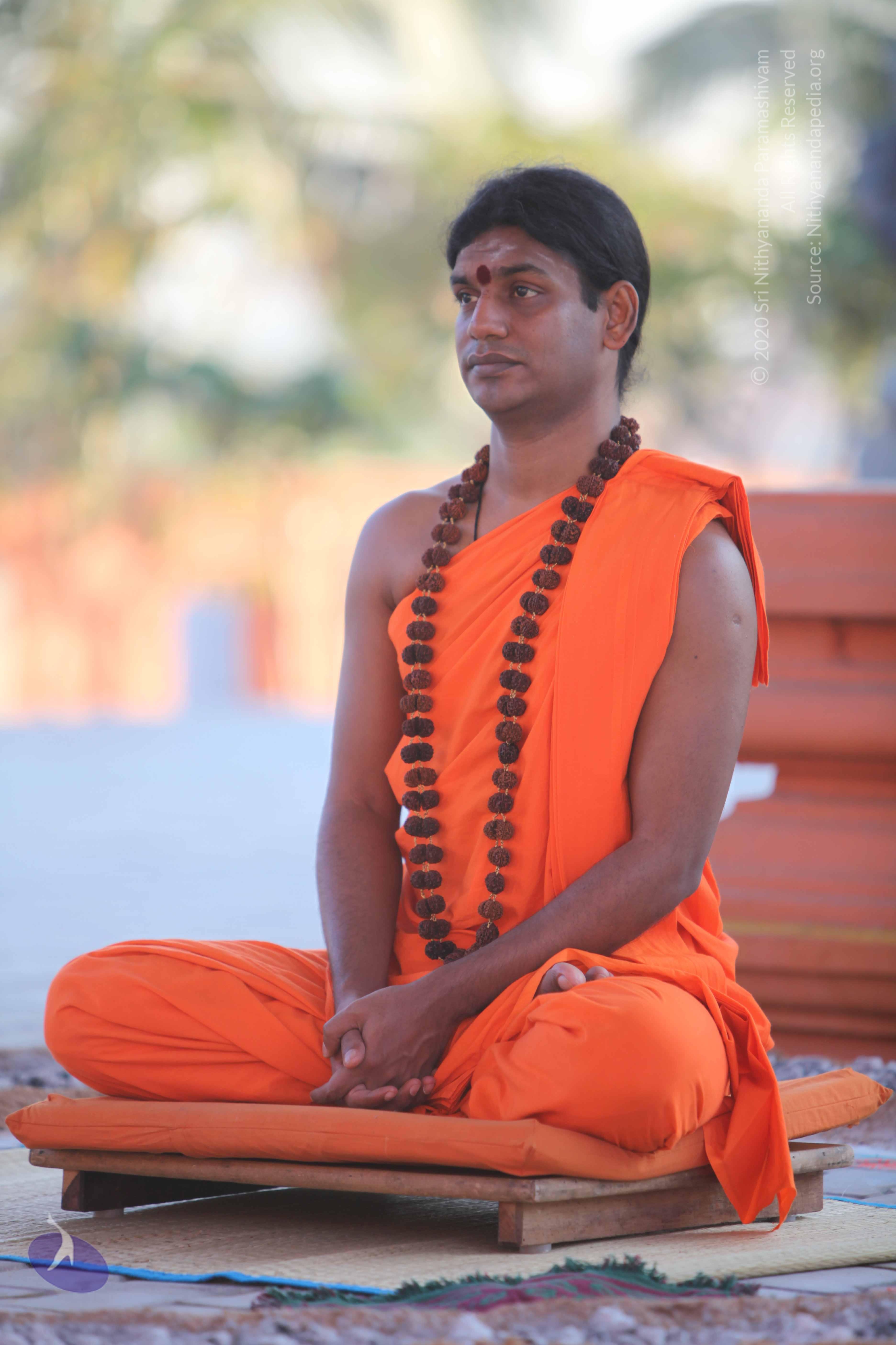 20110201_Photo_1045_IMG_2480_CMP_WM