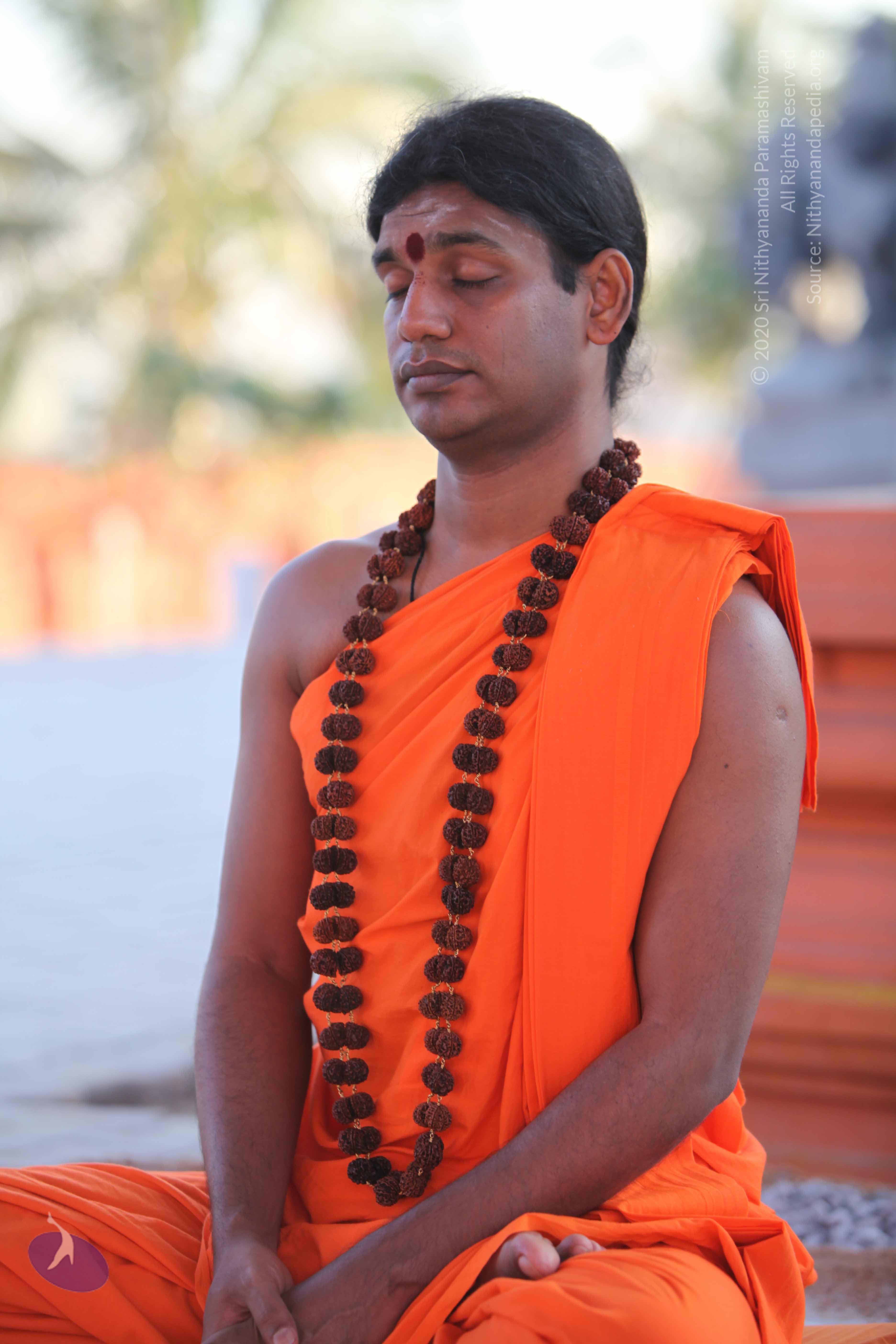 20110201_Photo_1046_IMG_2448_CMP_WM