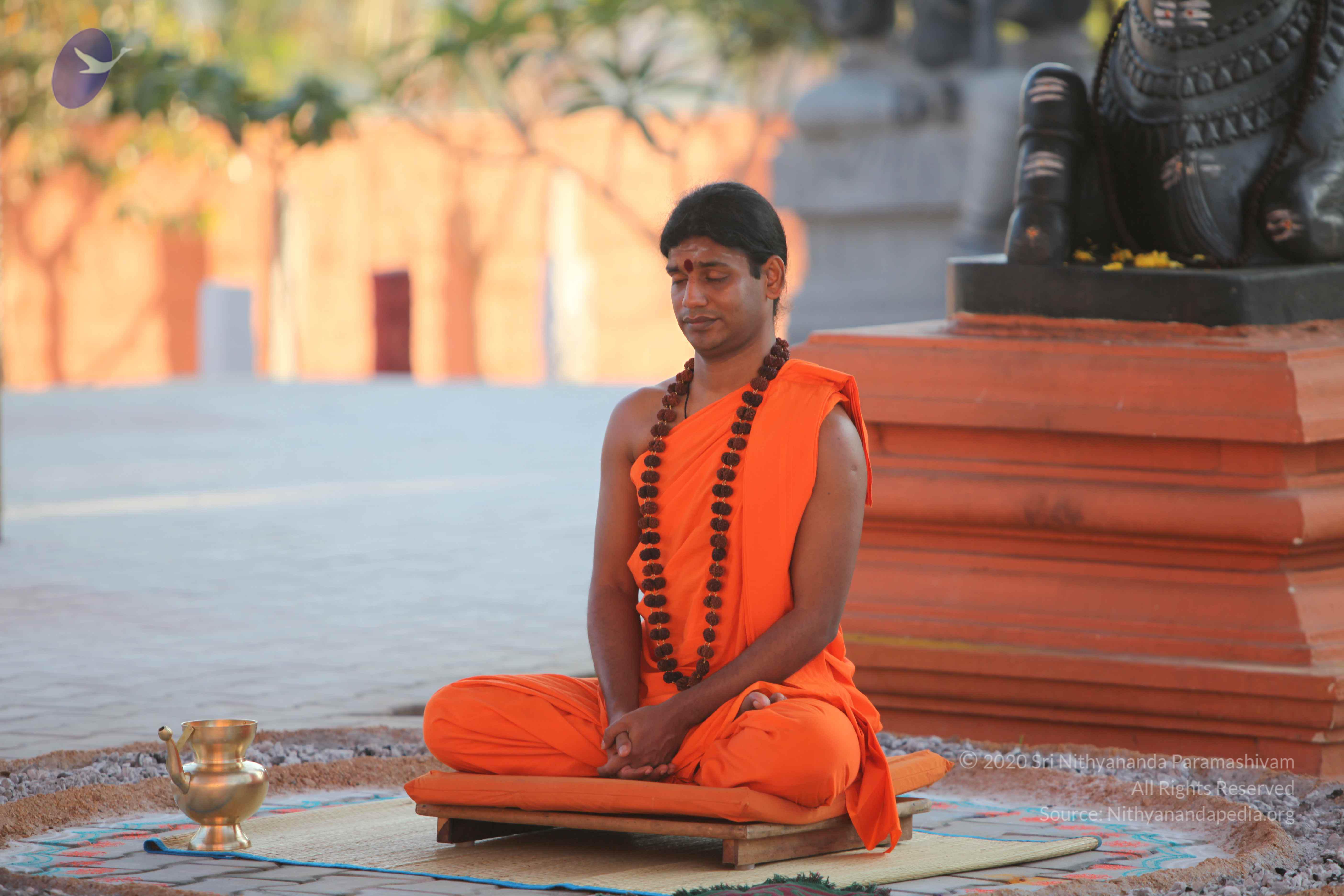 20110201_Photo_1049_IMG_2539_CMP_WM