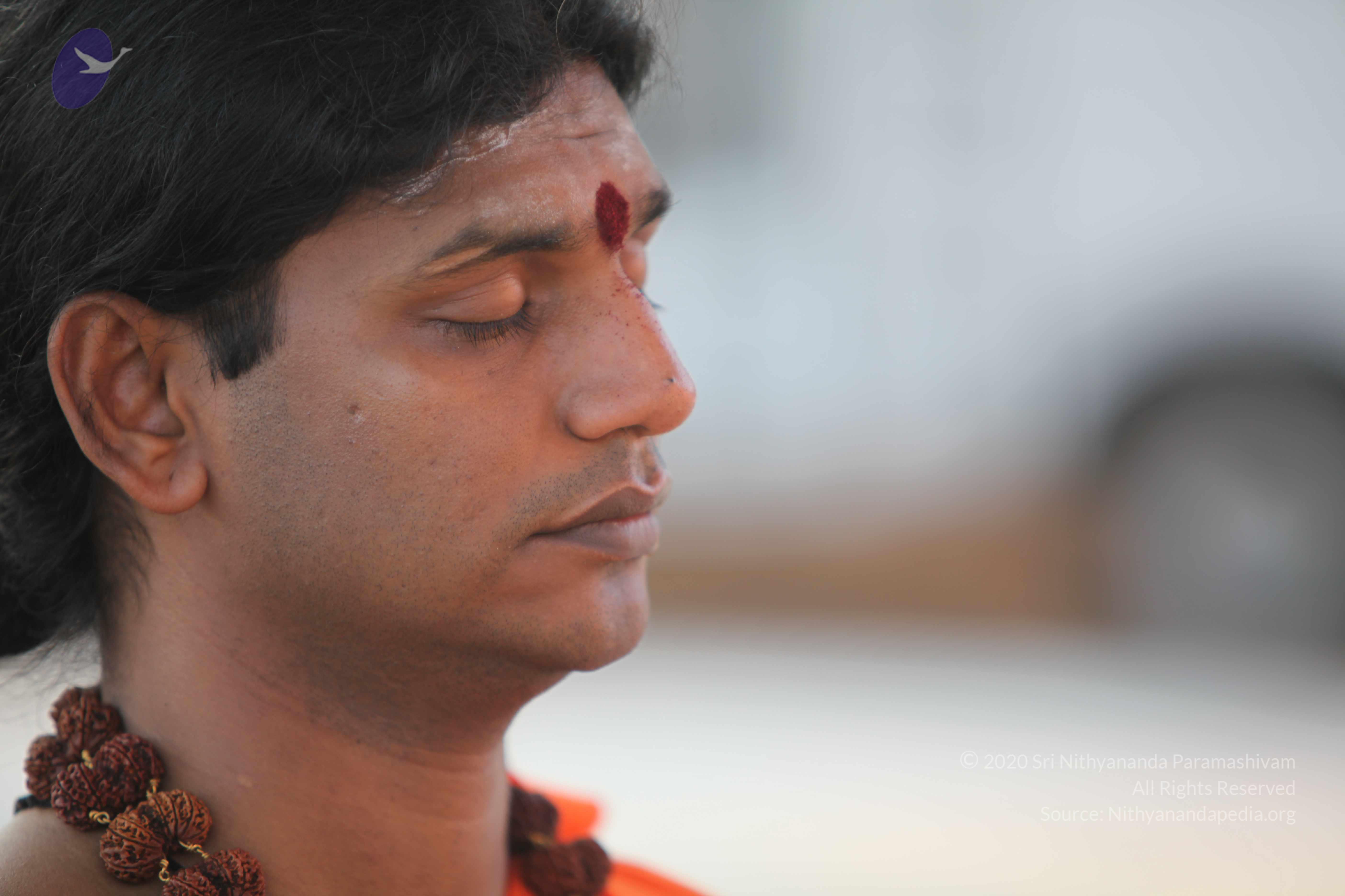 20110201_Photo_1051_IMG_2387_CMP_WM