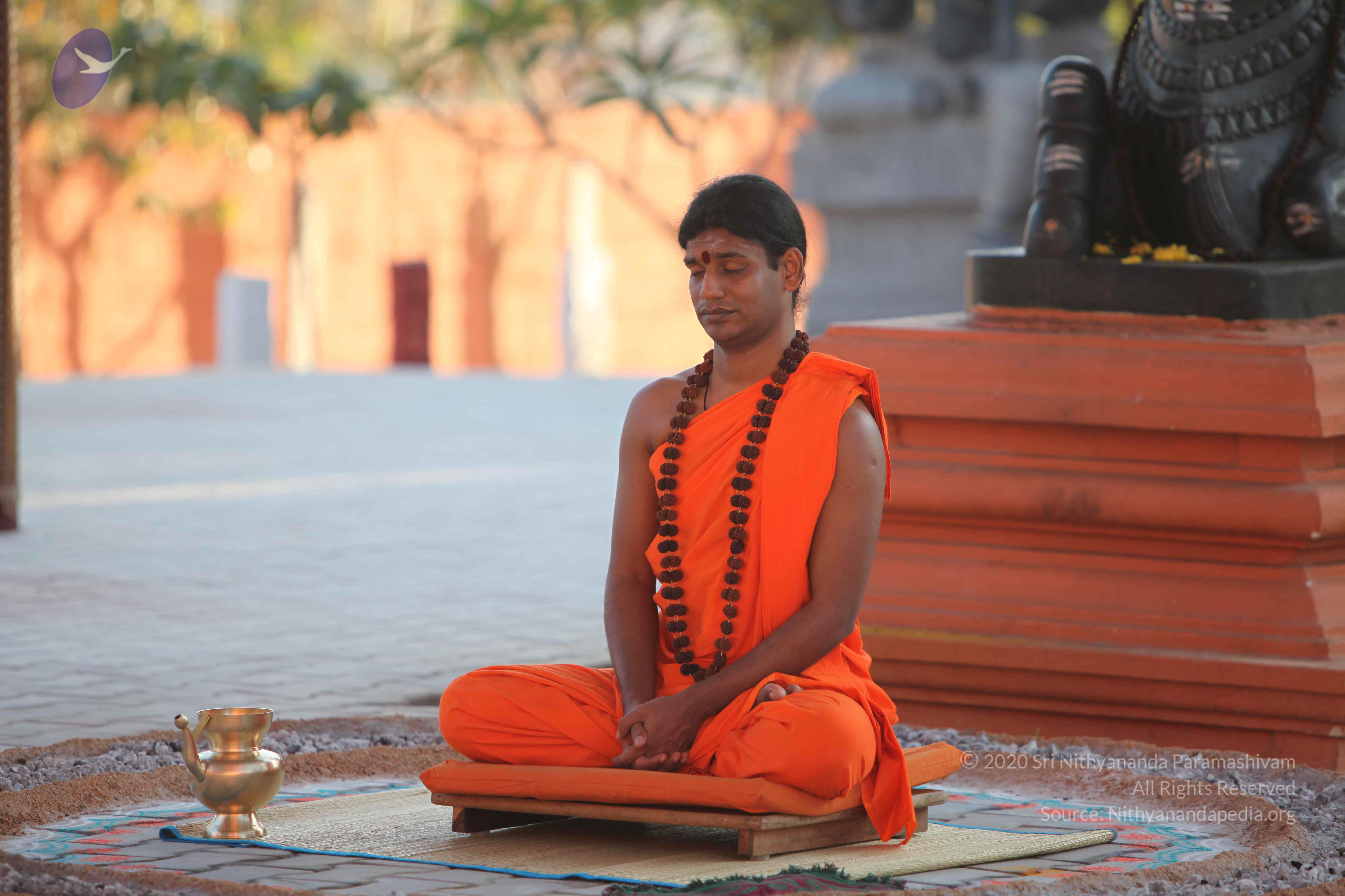 20110201_Photo_1055_IMG_2547_CMP_WM