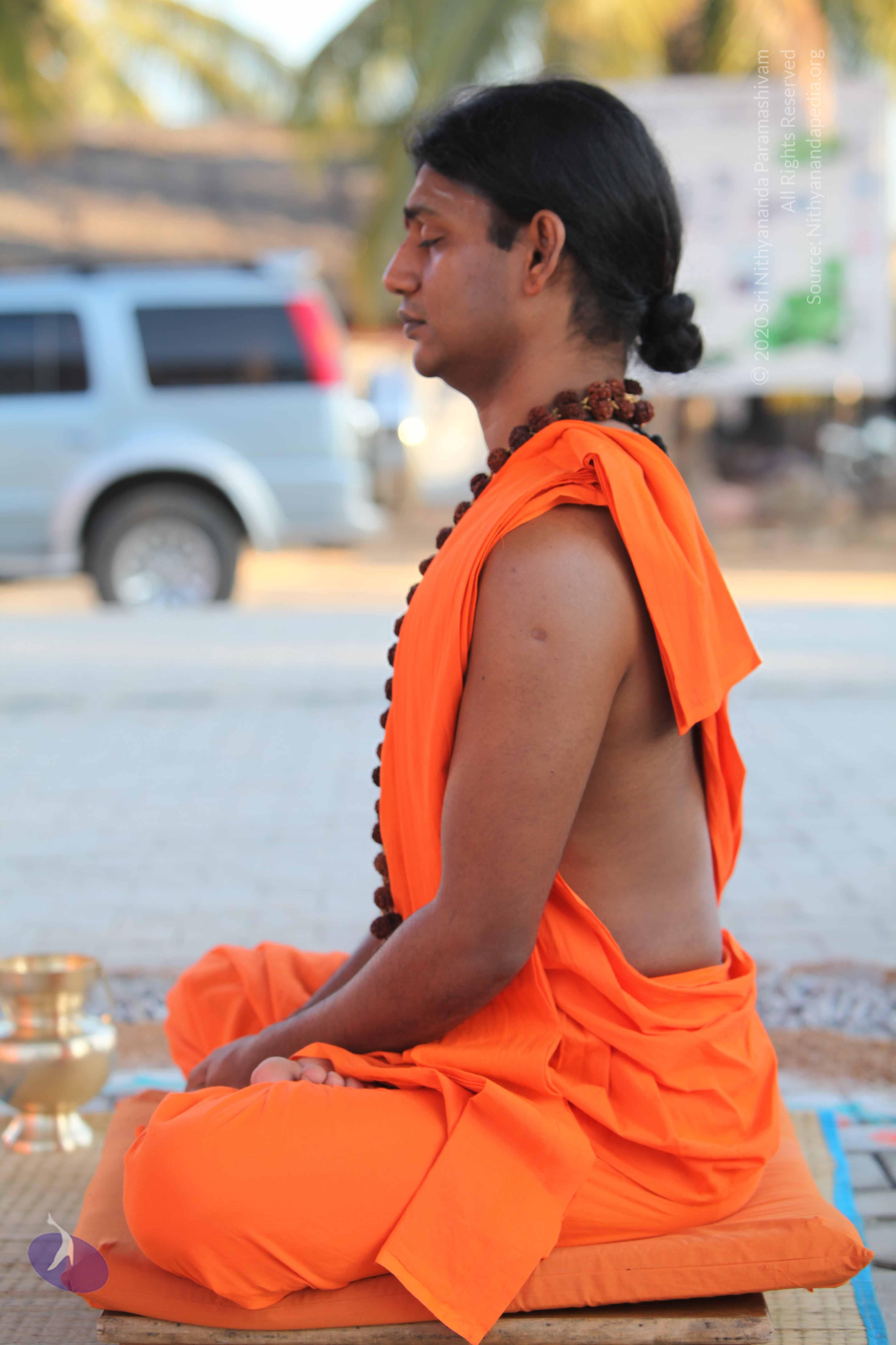 20110201_Photo_1056_IMG_2431_CMP_WM