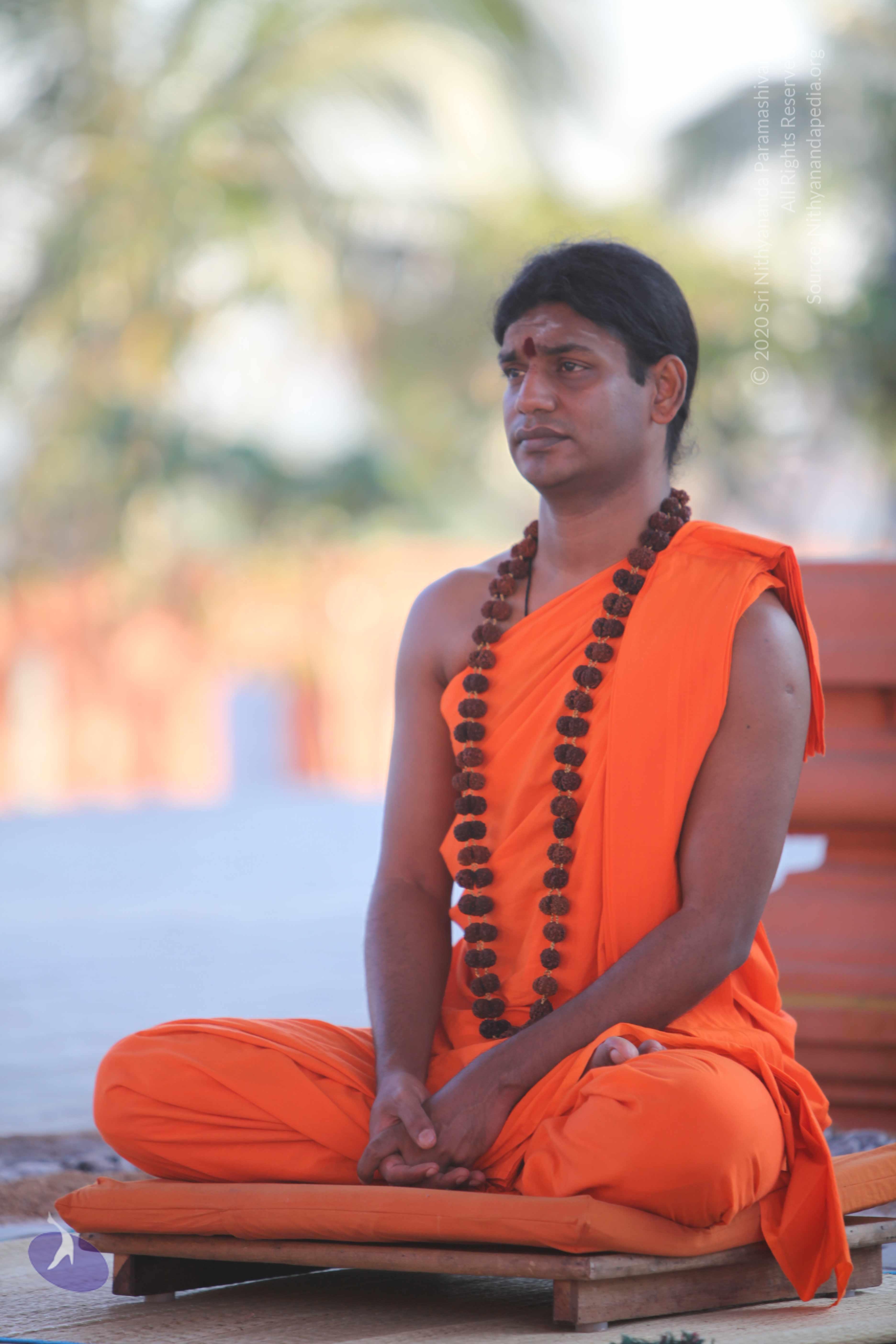 20110201_Photo_1060_IMG_2503_CMP_WM