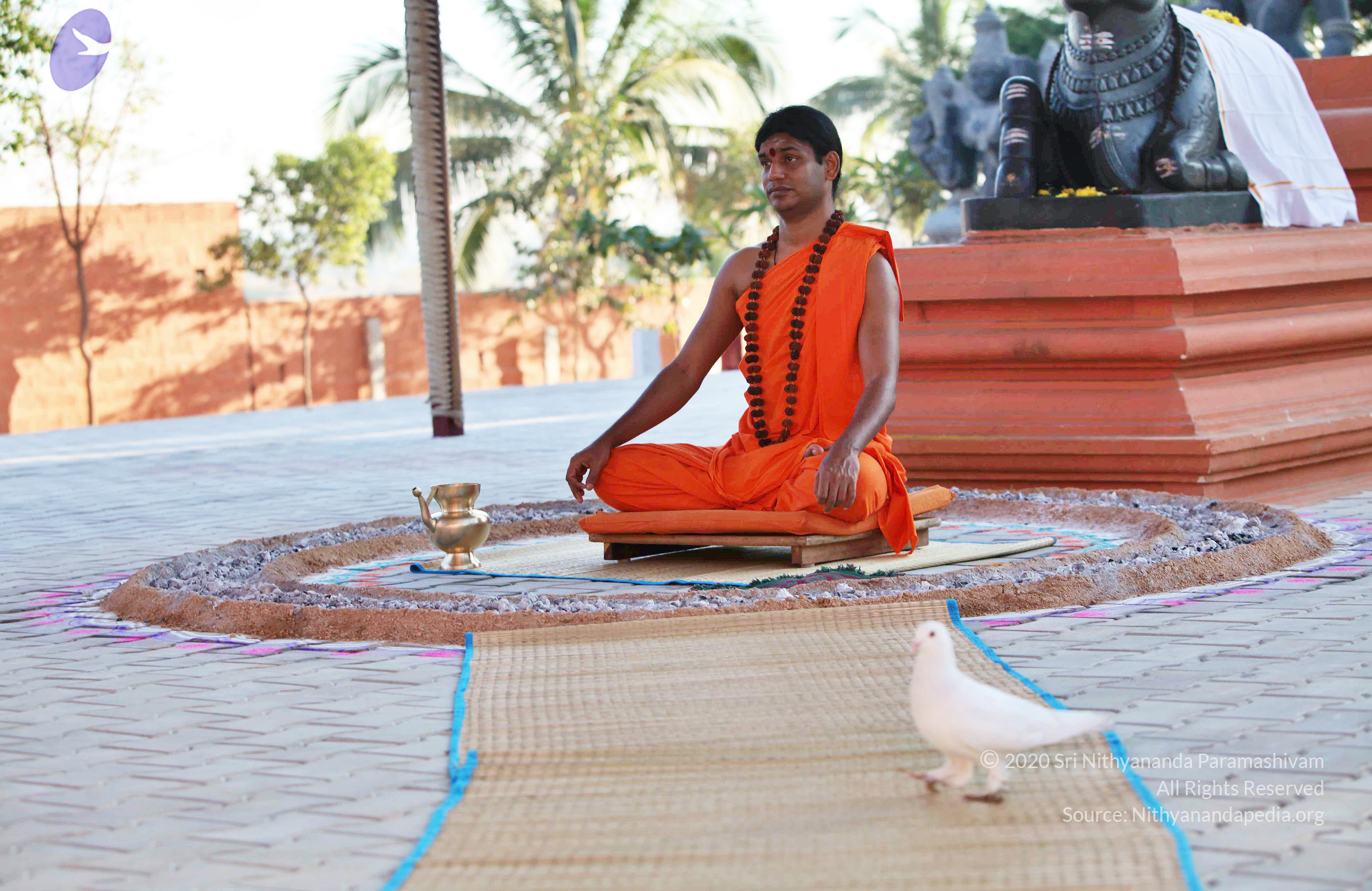 20110201_Photo_1061_IMG_2534_CMP_WM