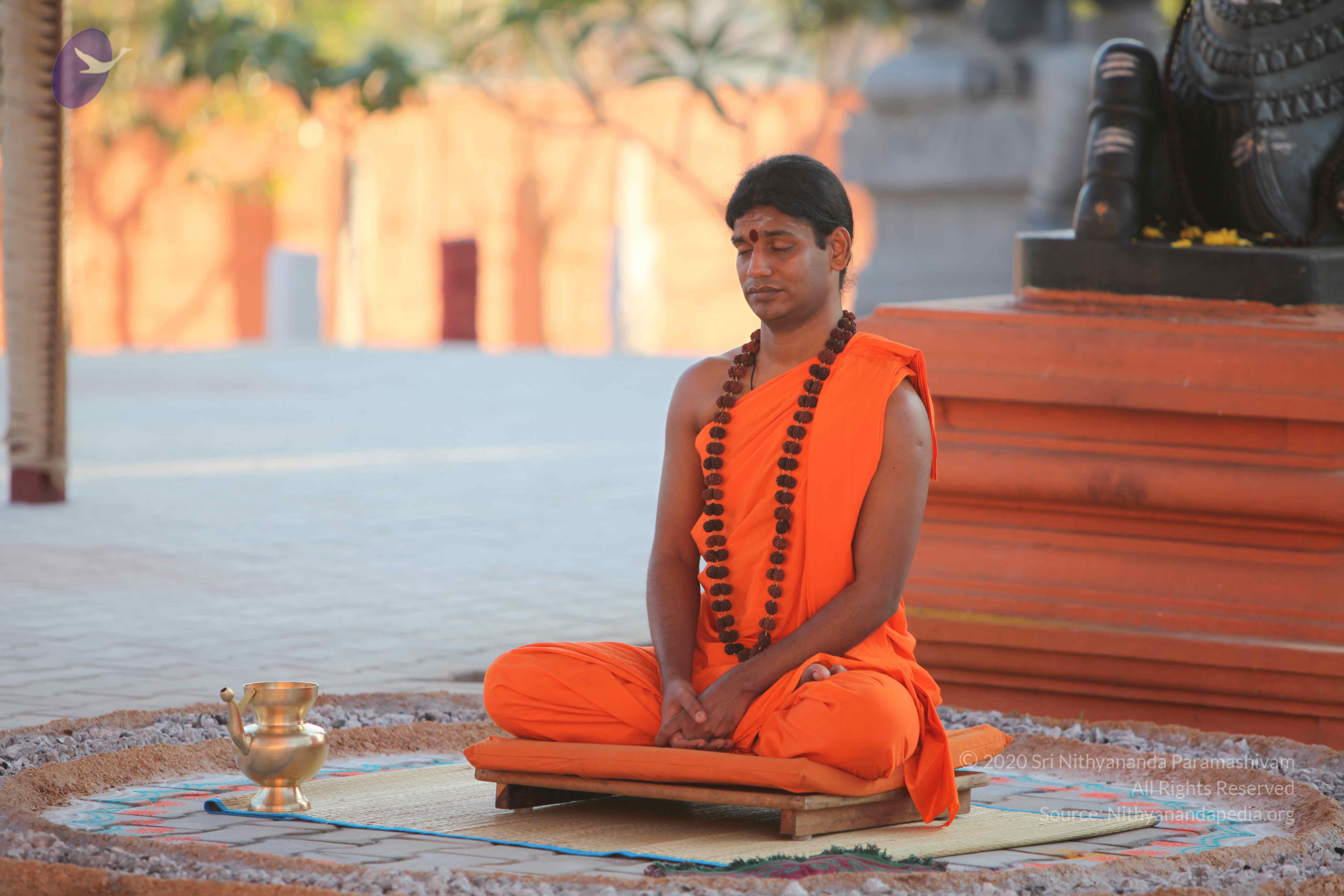 20110201_Photo_1065_IMG_2556_CMP_WM