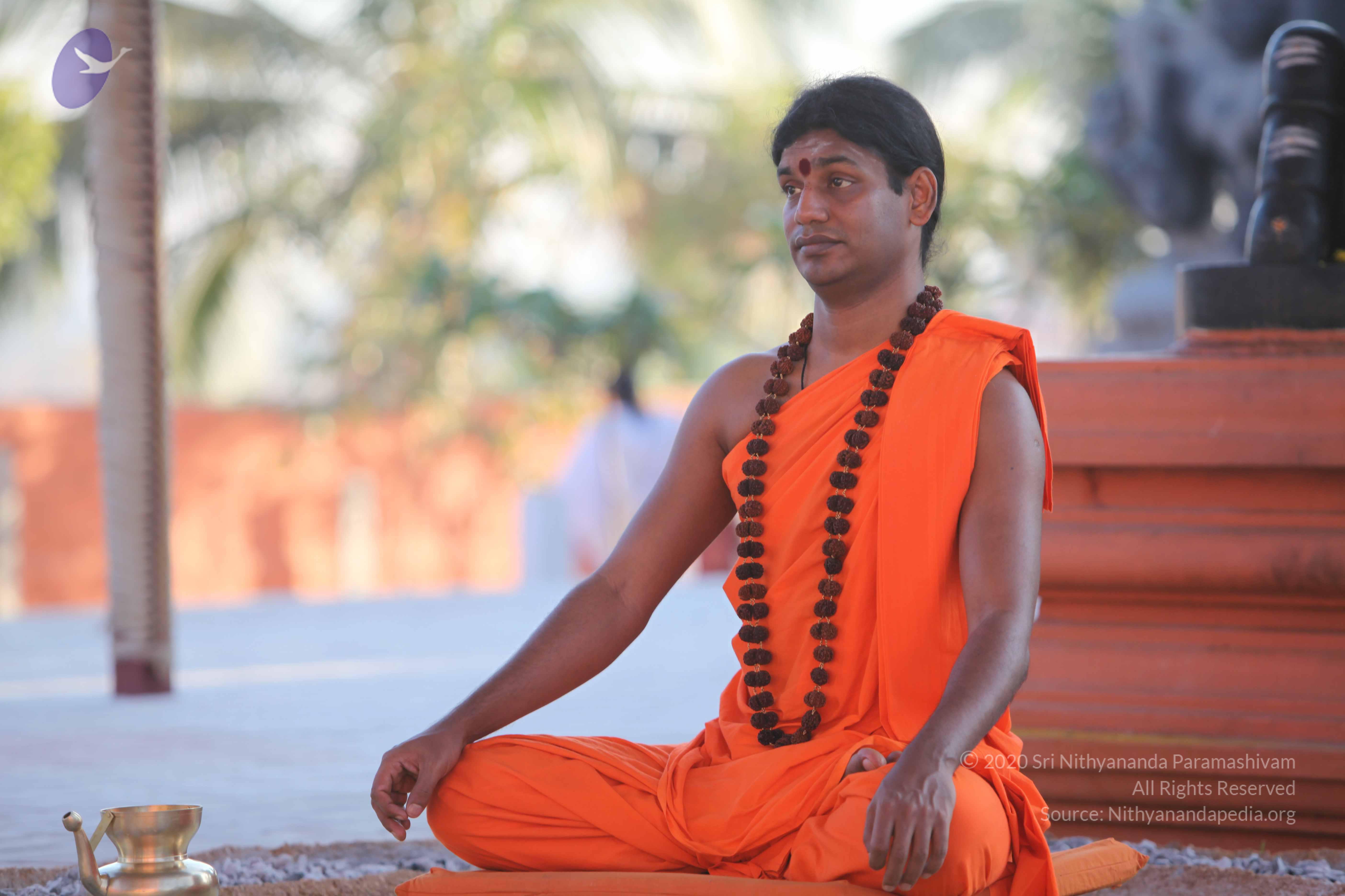 20110201_Photo_1071_IMG_2528_CMP_WM