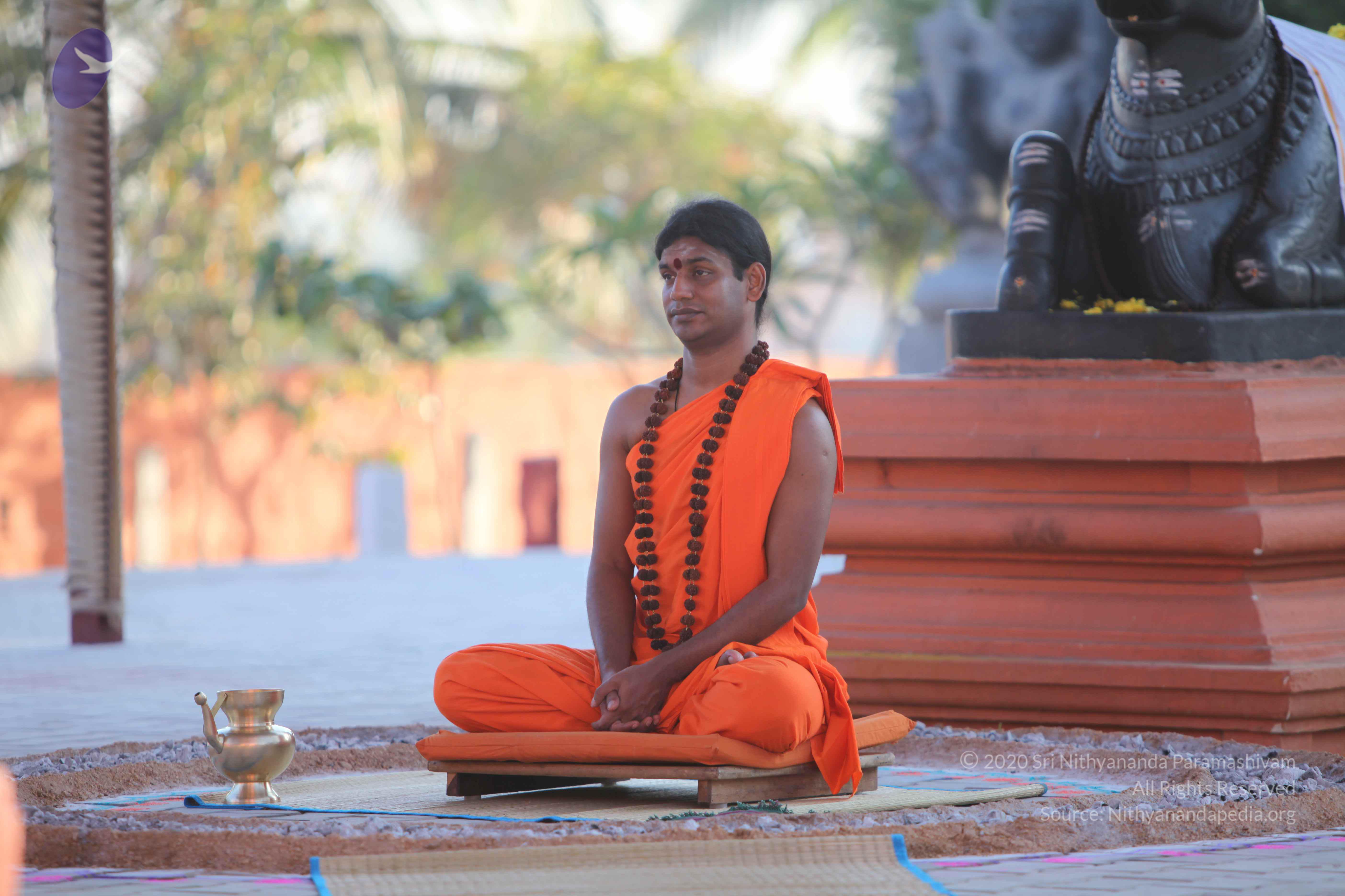 20110201_Photo_1072_IMG_2469_CMP_WM