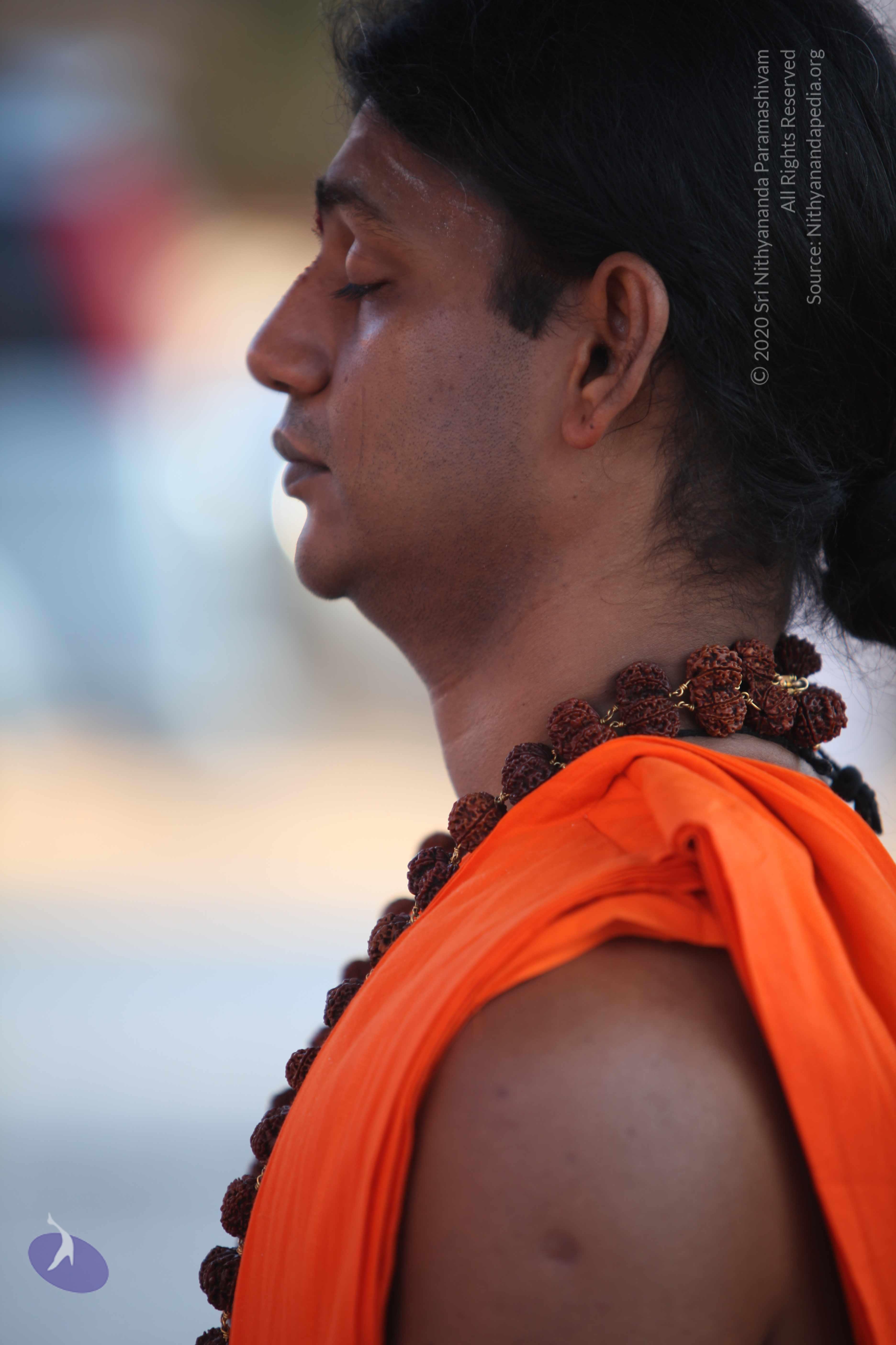 20110201_Photo_1073_IMG_2425_CMP_WM