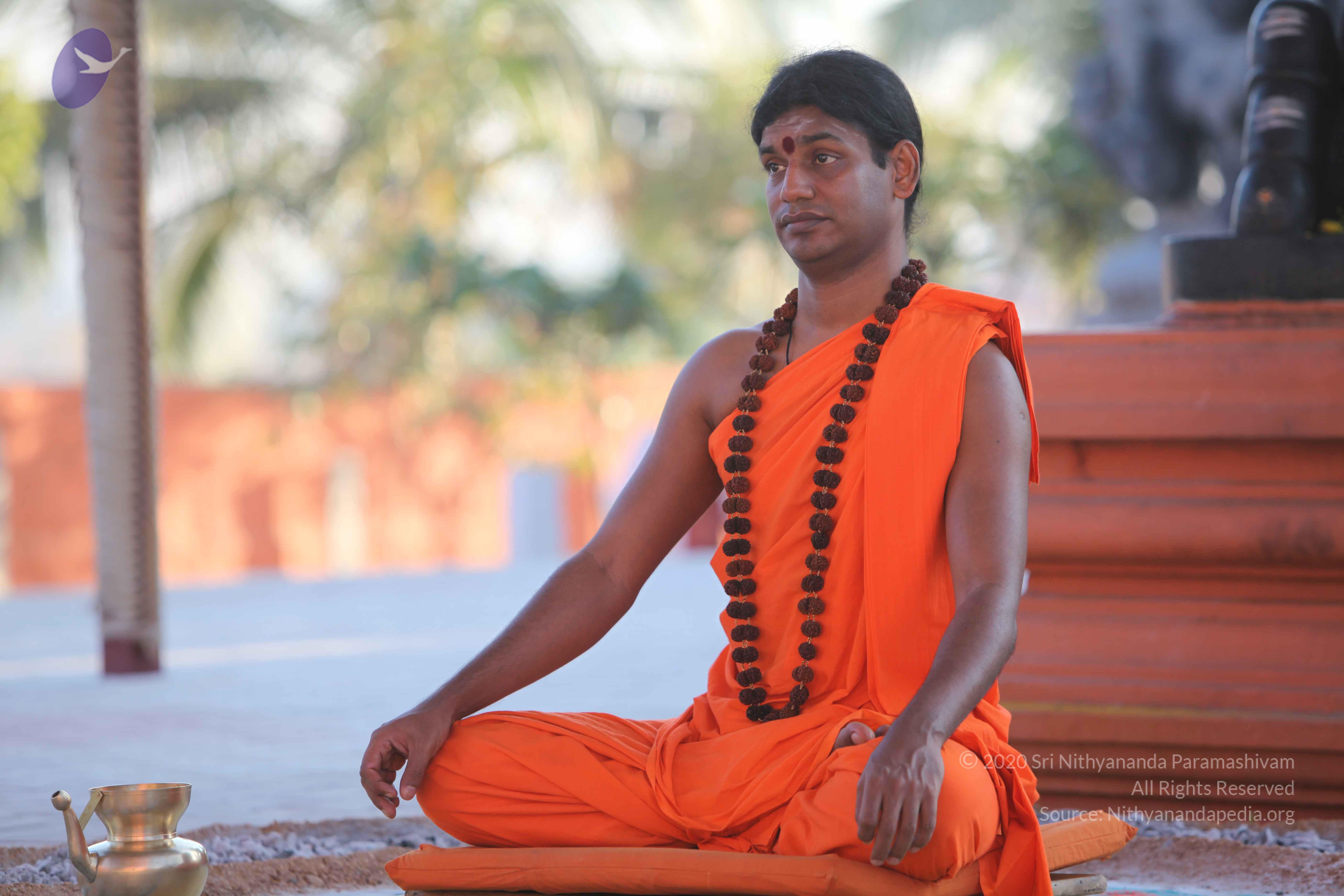 20110201_Photo_1075_IMG_2531_CMP_WM