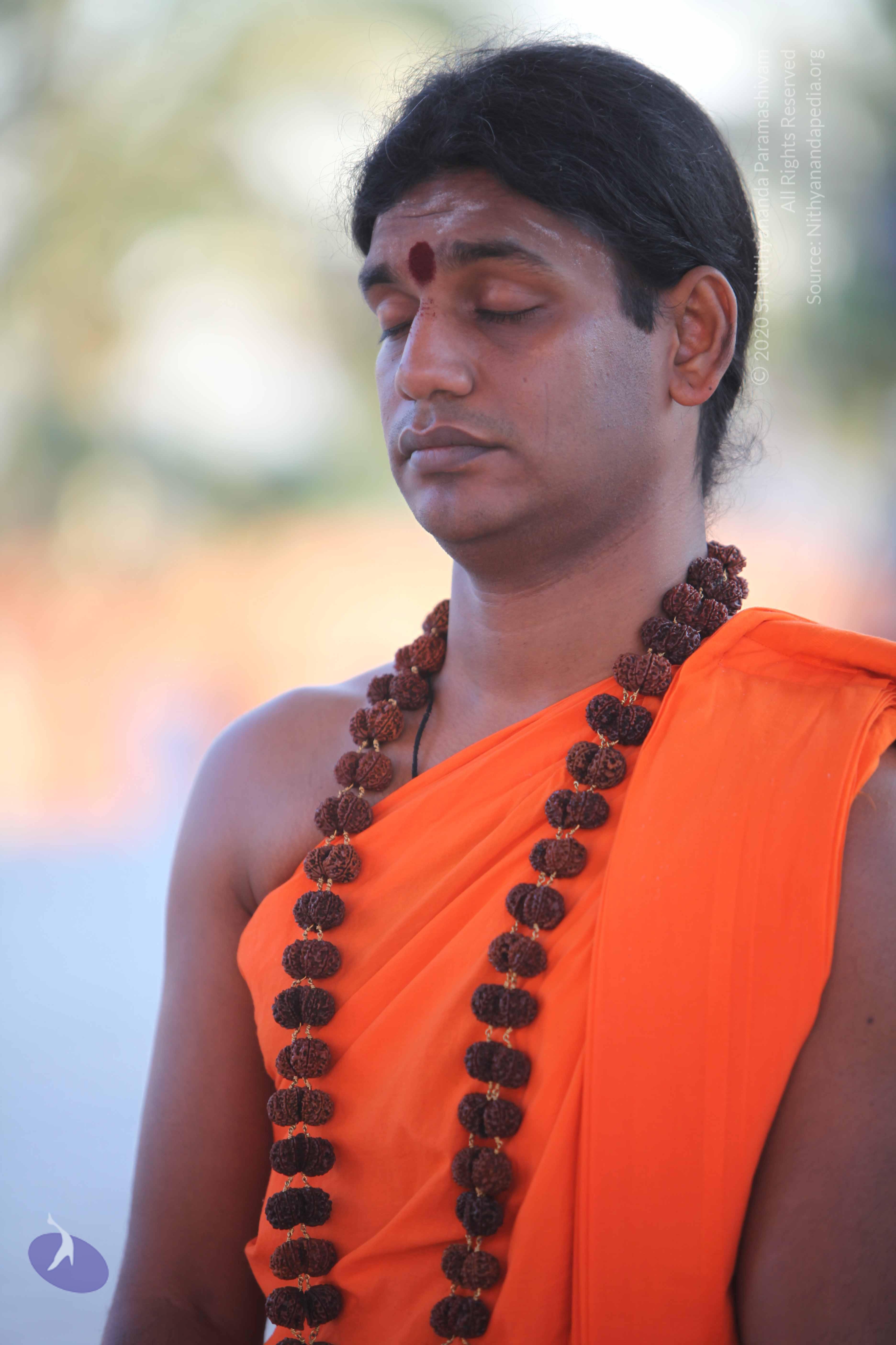 20110201_Photo_1077_IMG_2447_CMP_WM