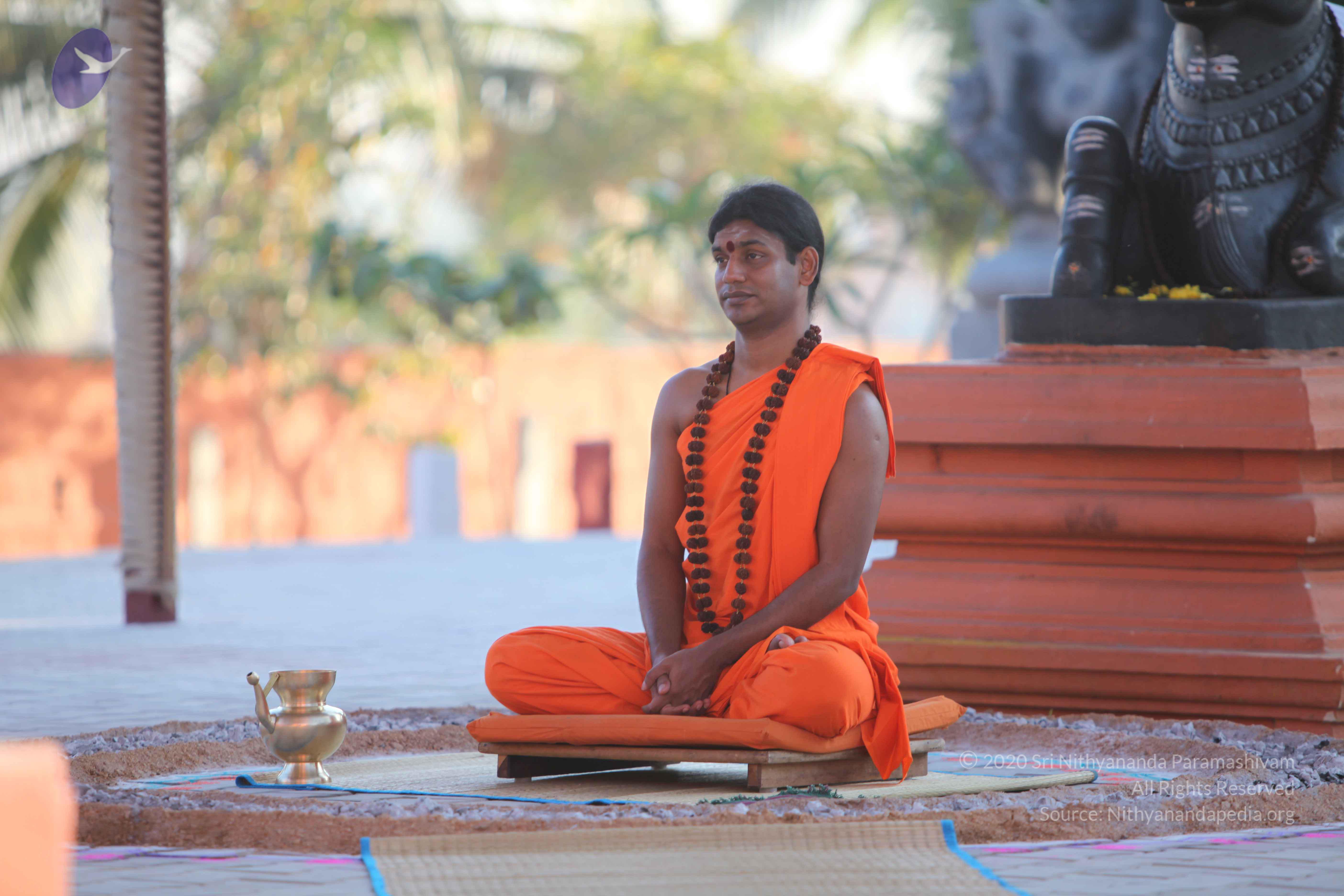 20110201_Photo_1078_IMG_2470_CMP_WM