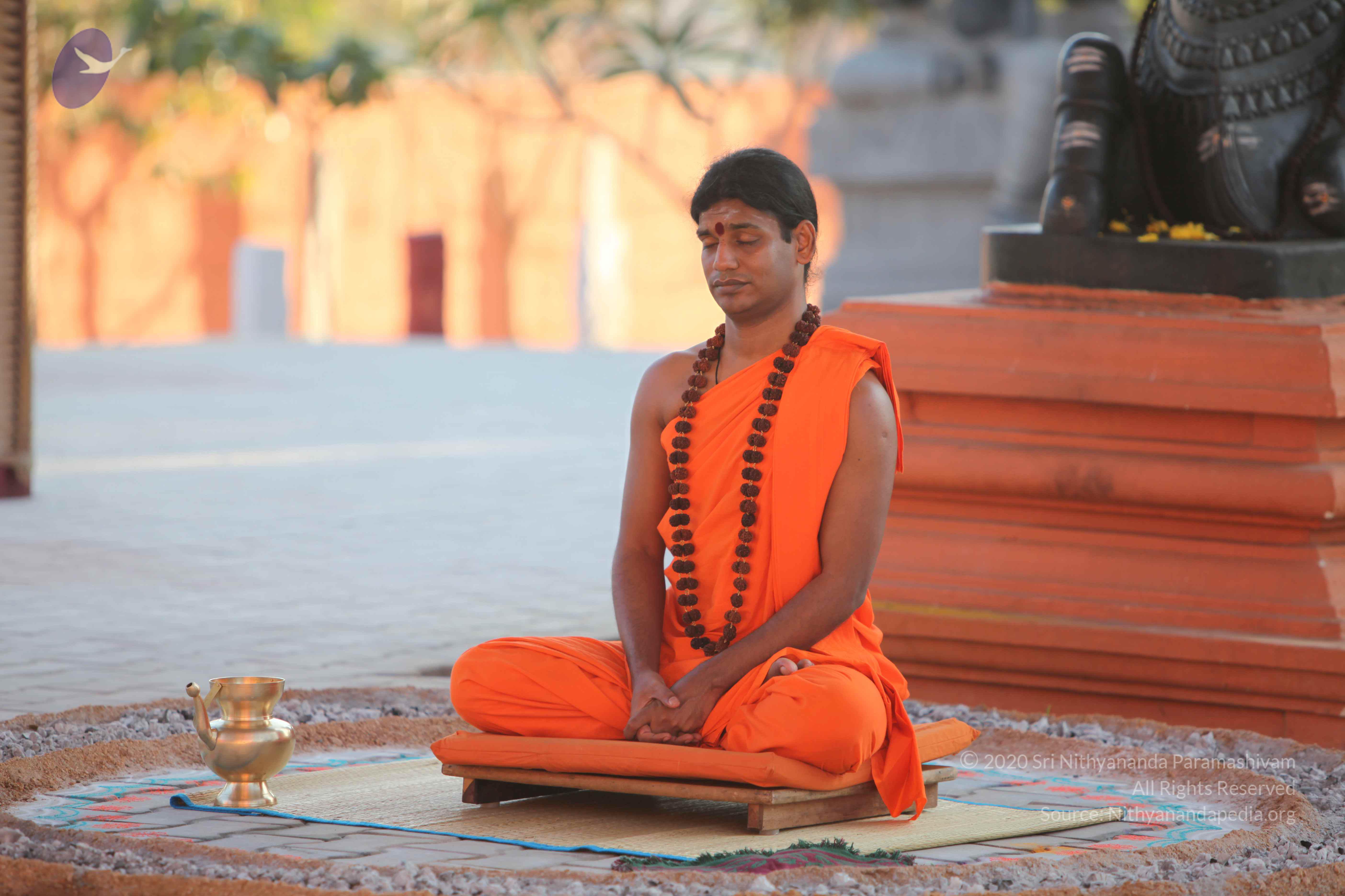 20110201_Photo_1079_IMG_2553_CMP_WM