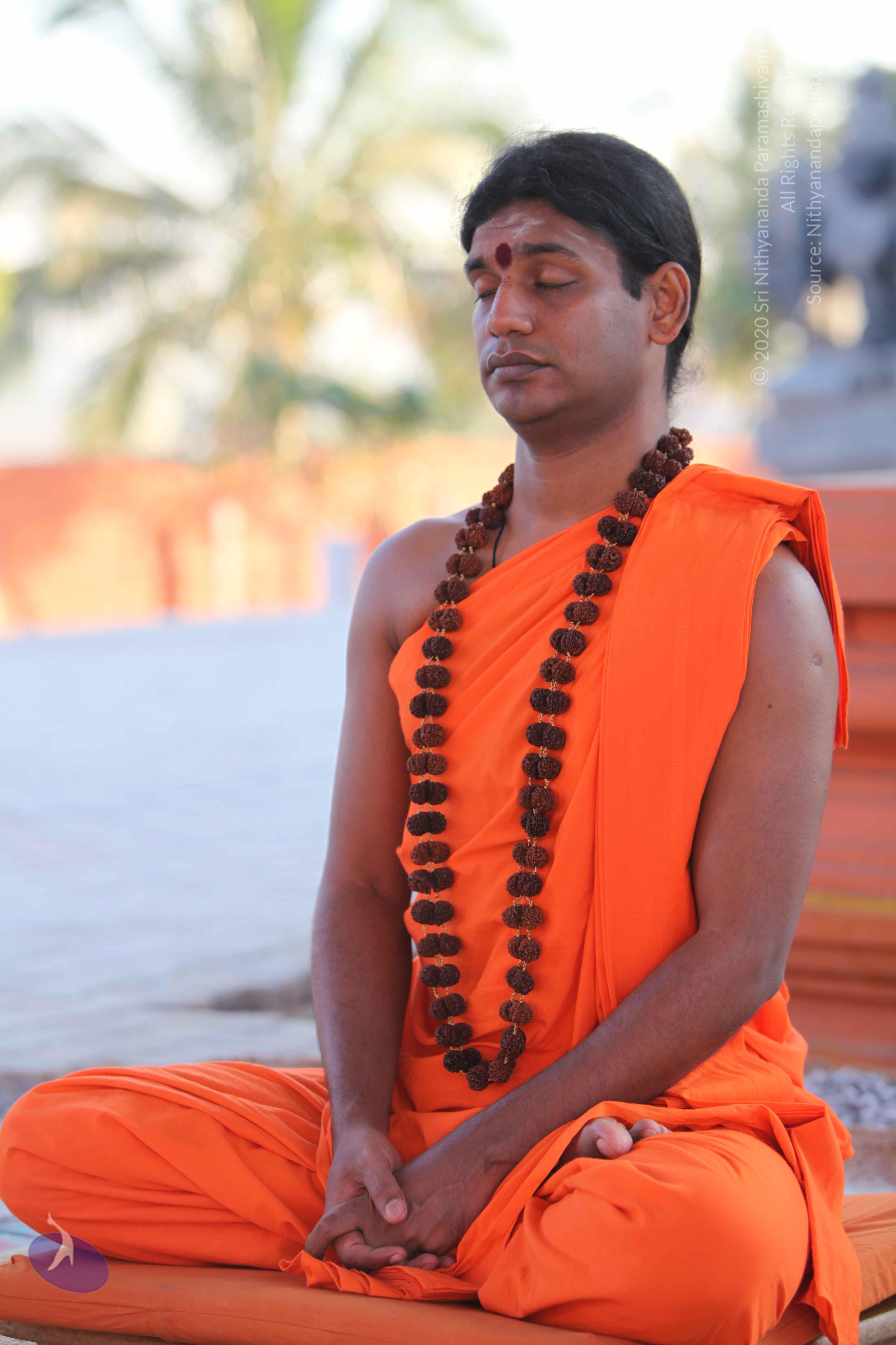 20110201_Photo_1080_IMG_2439_CMP_WM