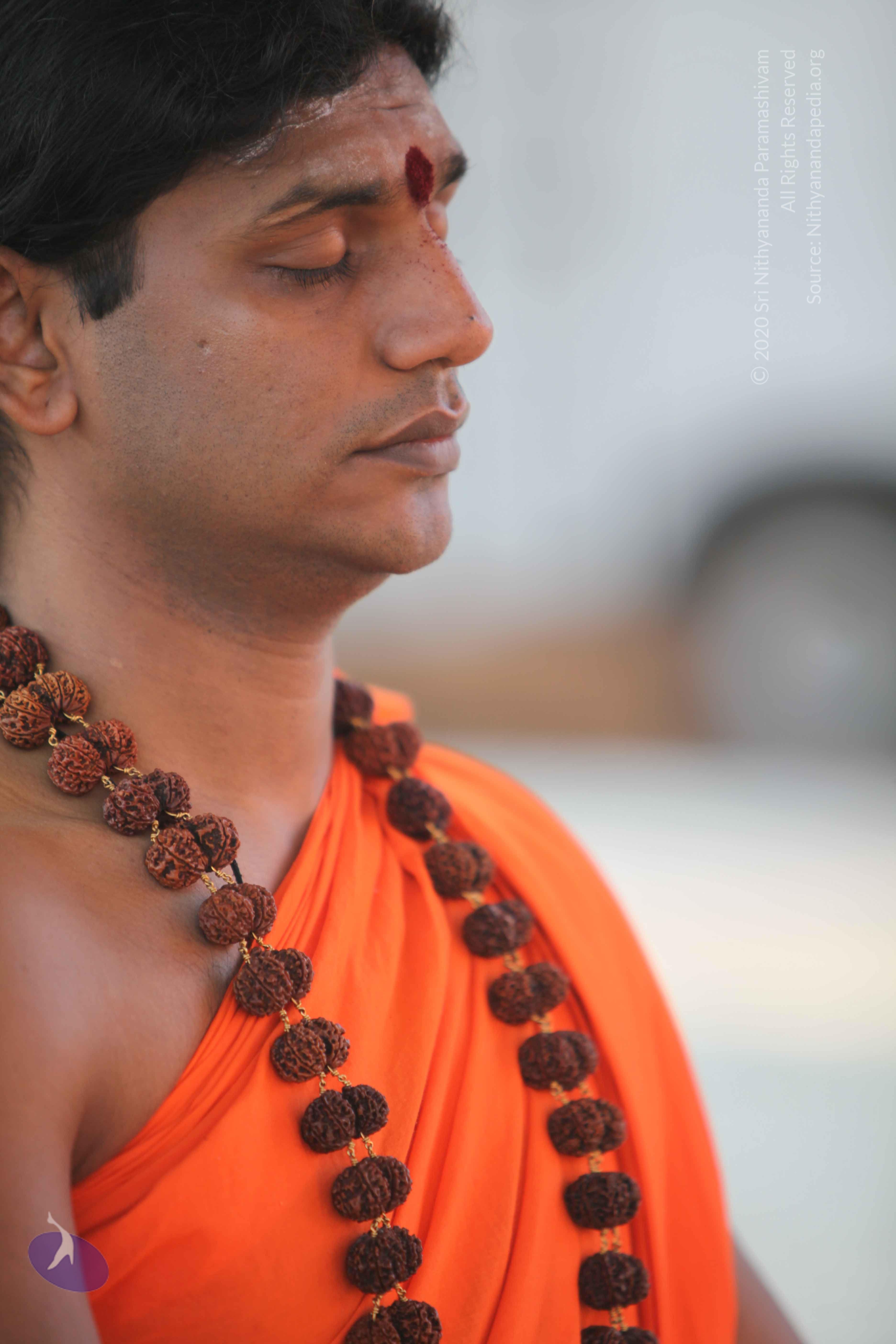 20110201_Photo_1083_IMG_2382_CMP_WM