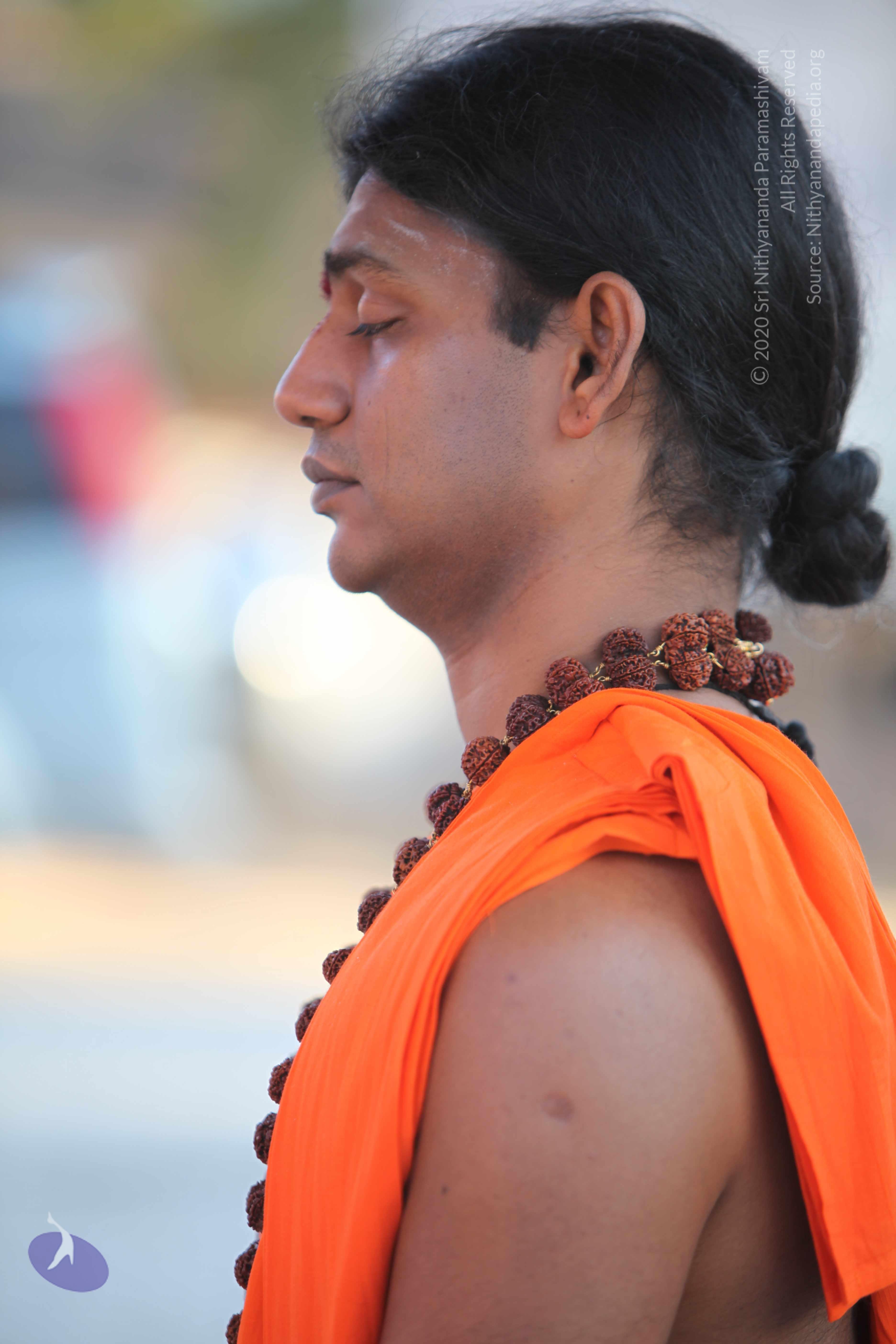 20110201_Photo_1085_IMG_2428_CMP_WM