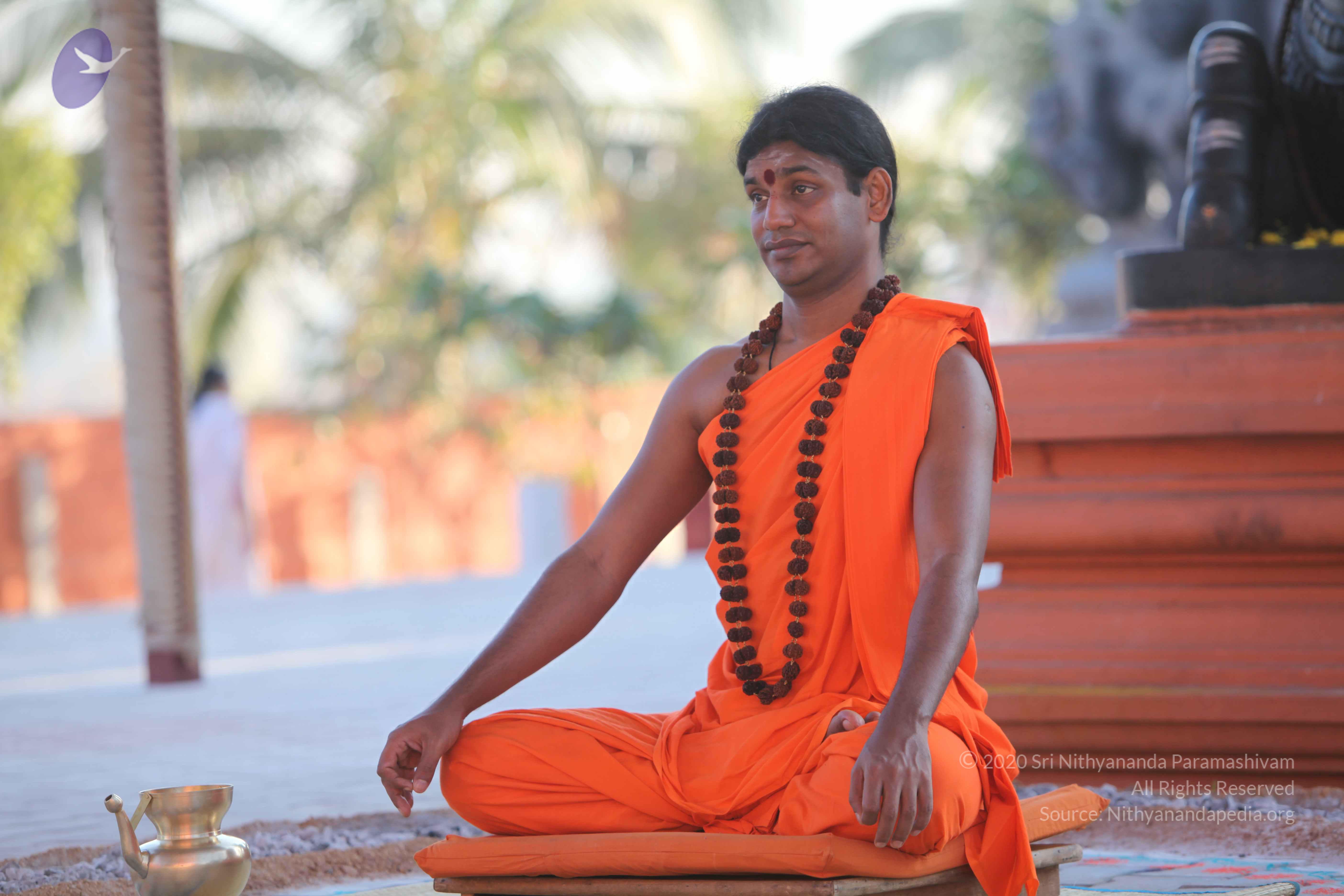 20110201_Photo_1089_IMG_2520_CMP_WM