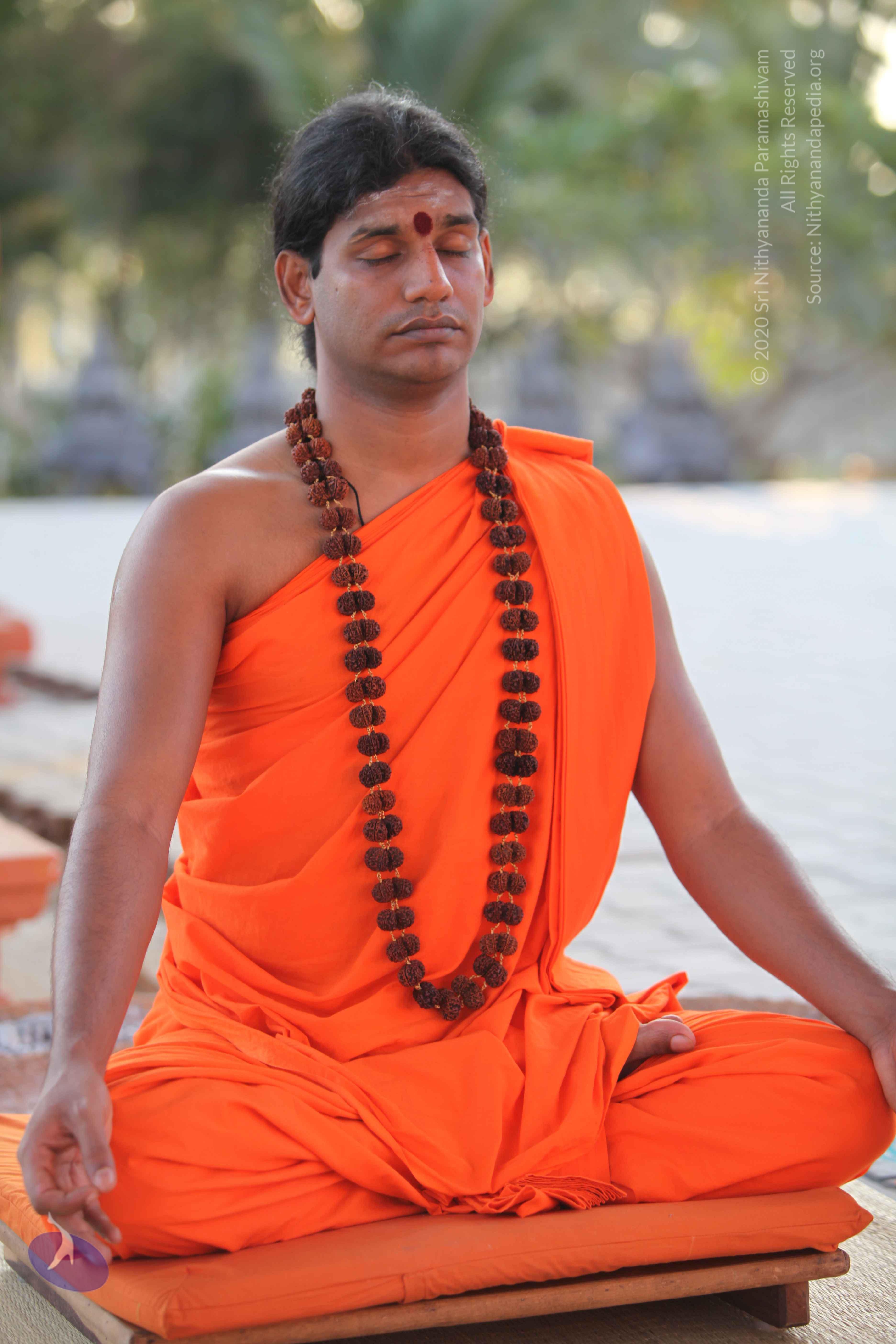 20110201_Photo_1090_IMG_2403_CMP_WM