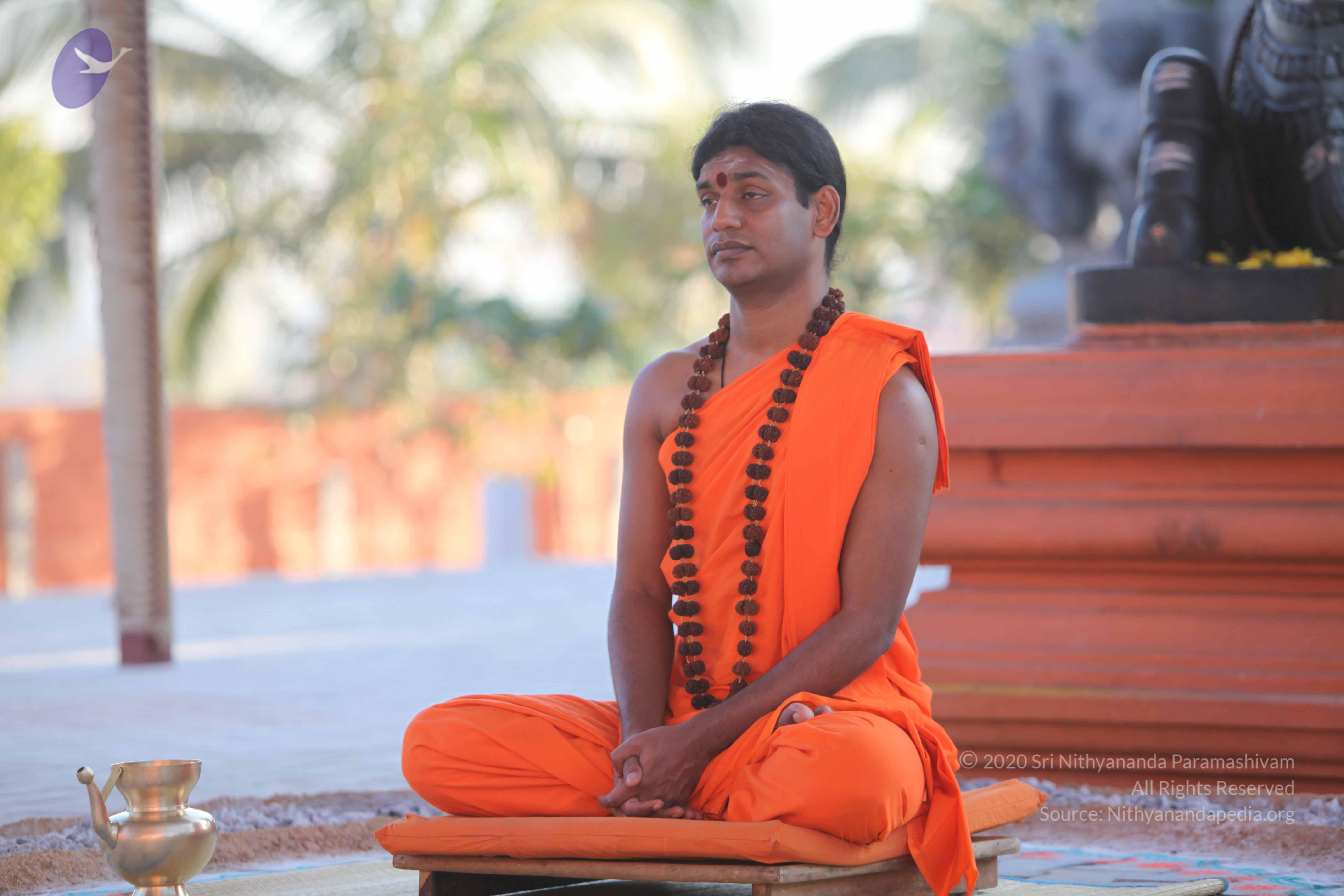 20110201_Photo_1094_IMG_2519_CMP_WM