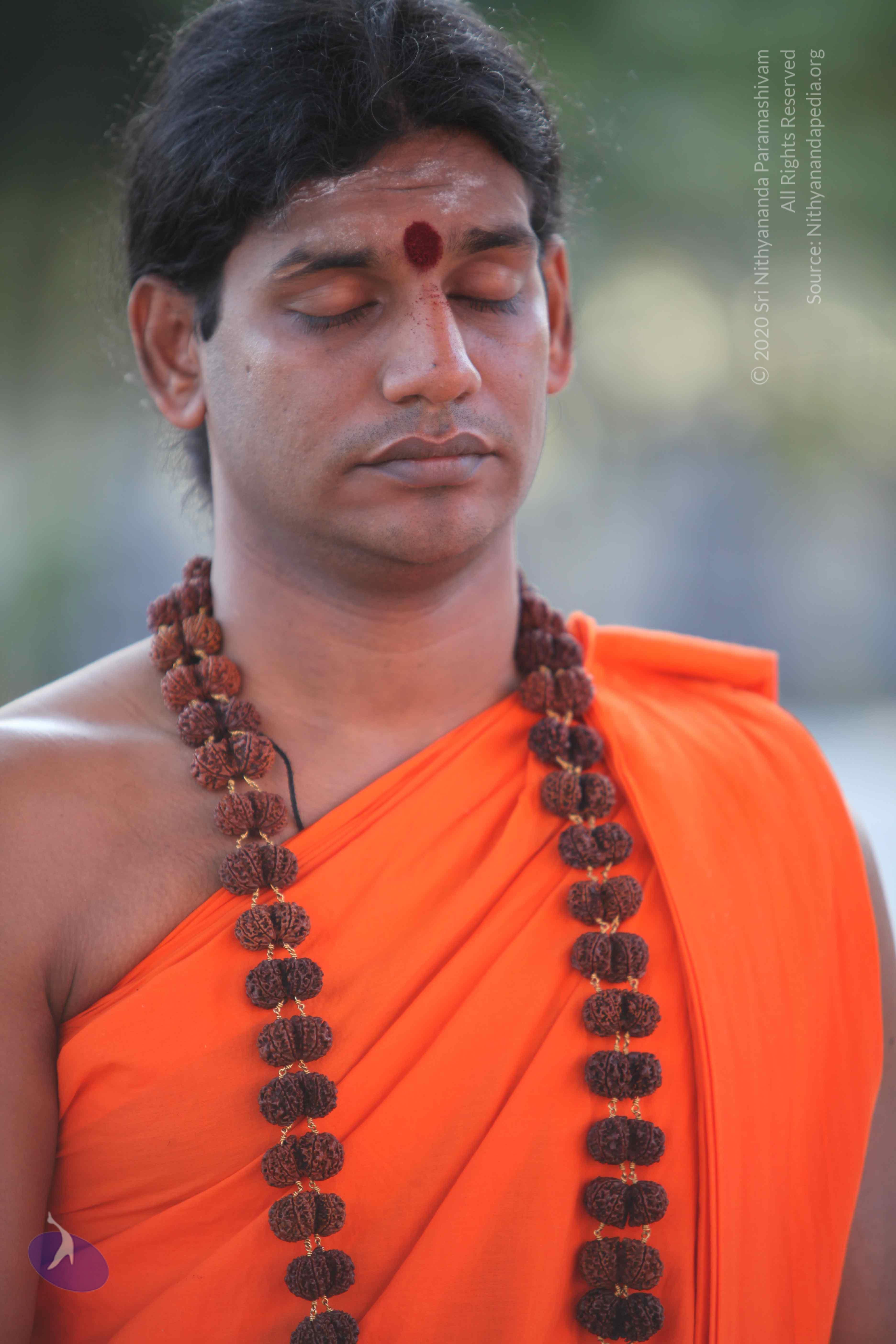 20110201_Photo_1096_IMG_2411_CMP_WM