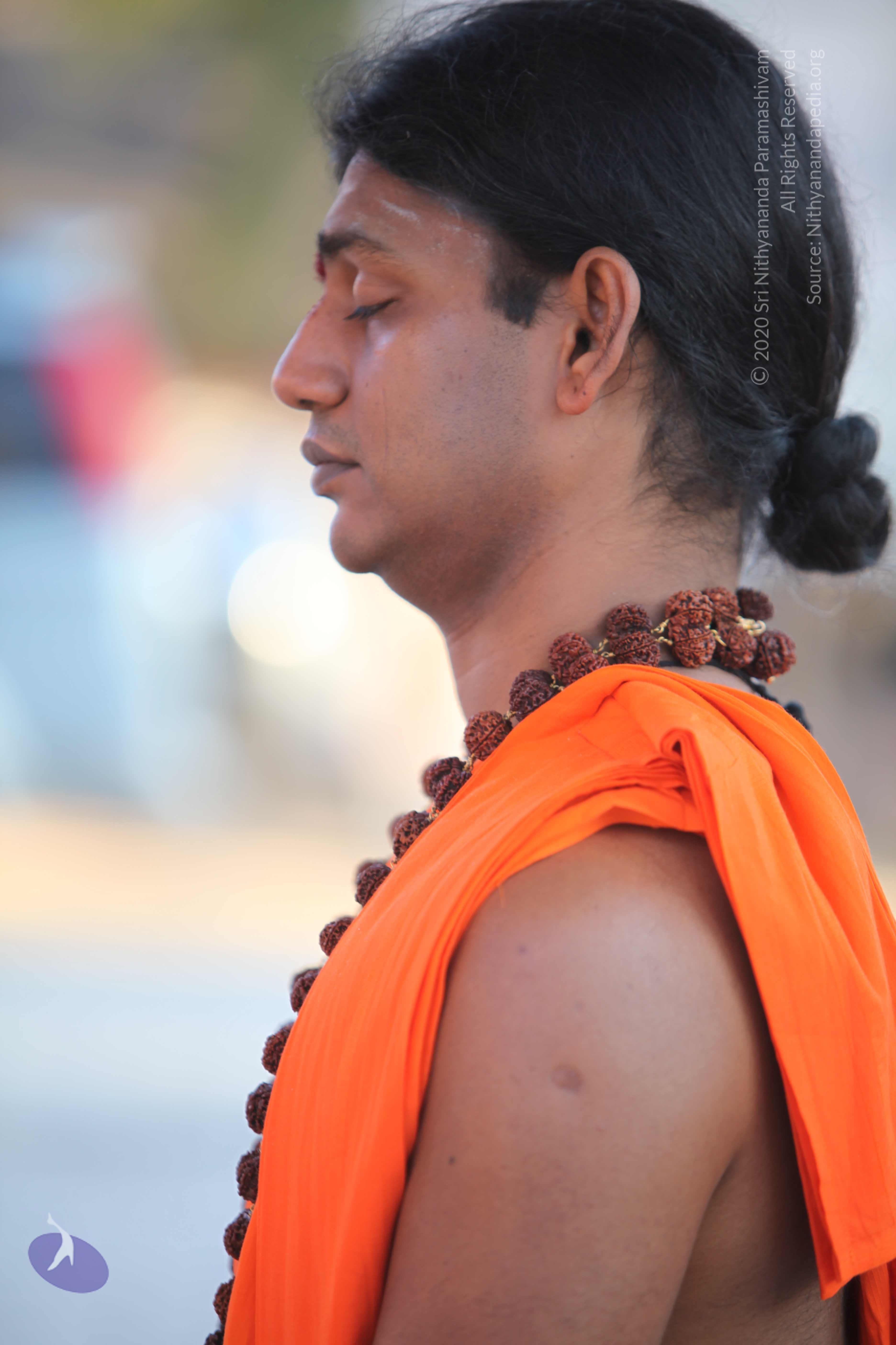 20110201_Photo_1097_IMG_2426_CMP_WM