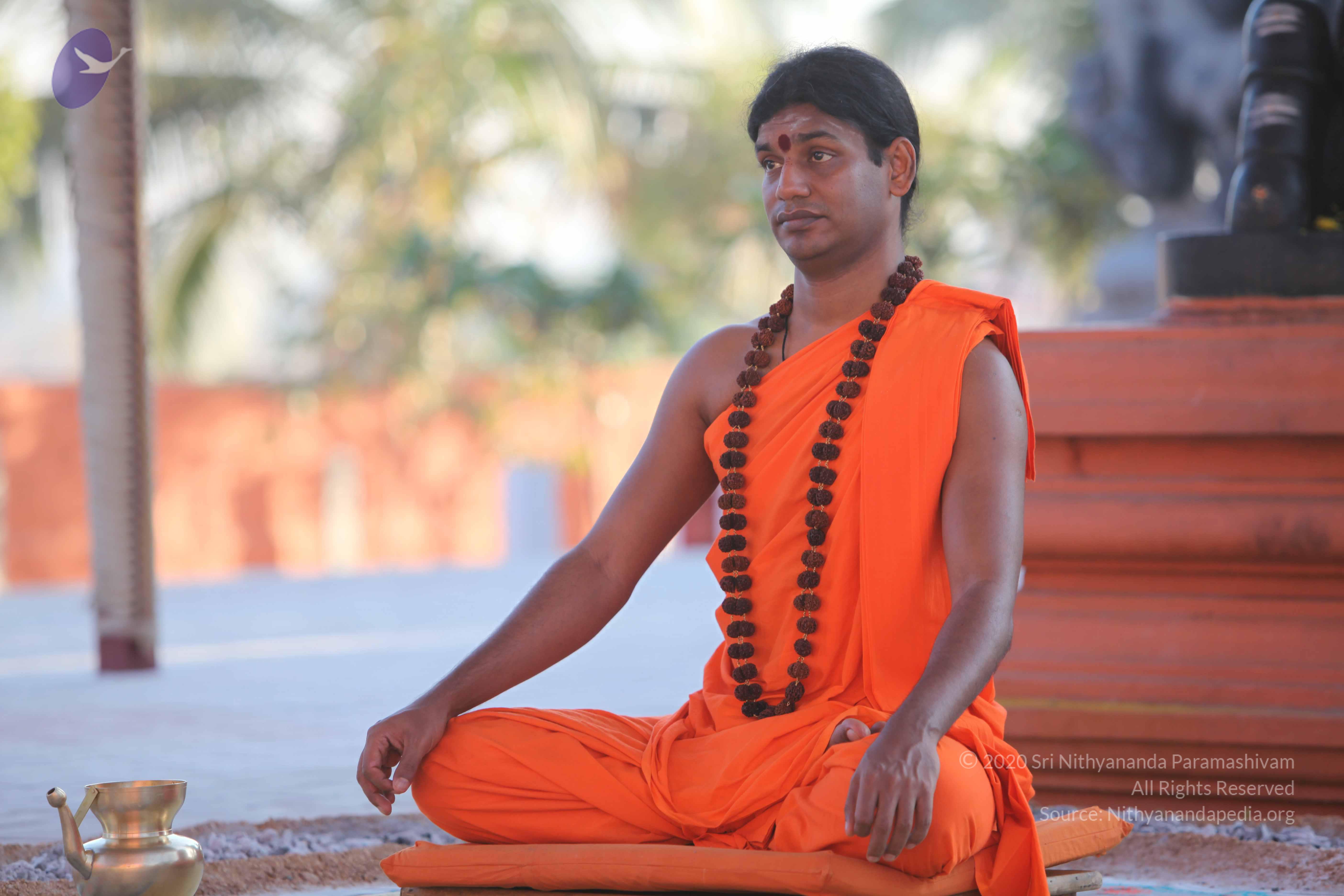 20110201_Photo_1099_IMG_2532_CMP_WM