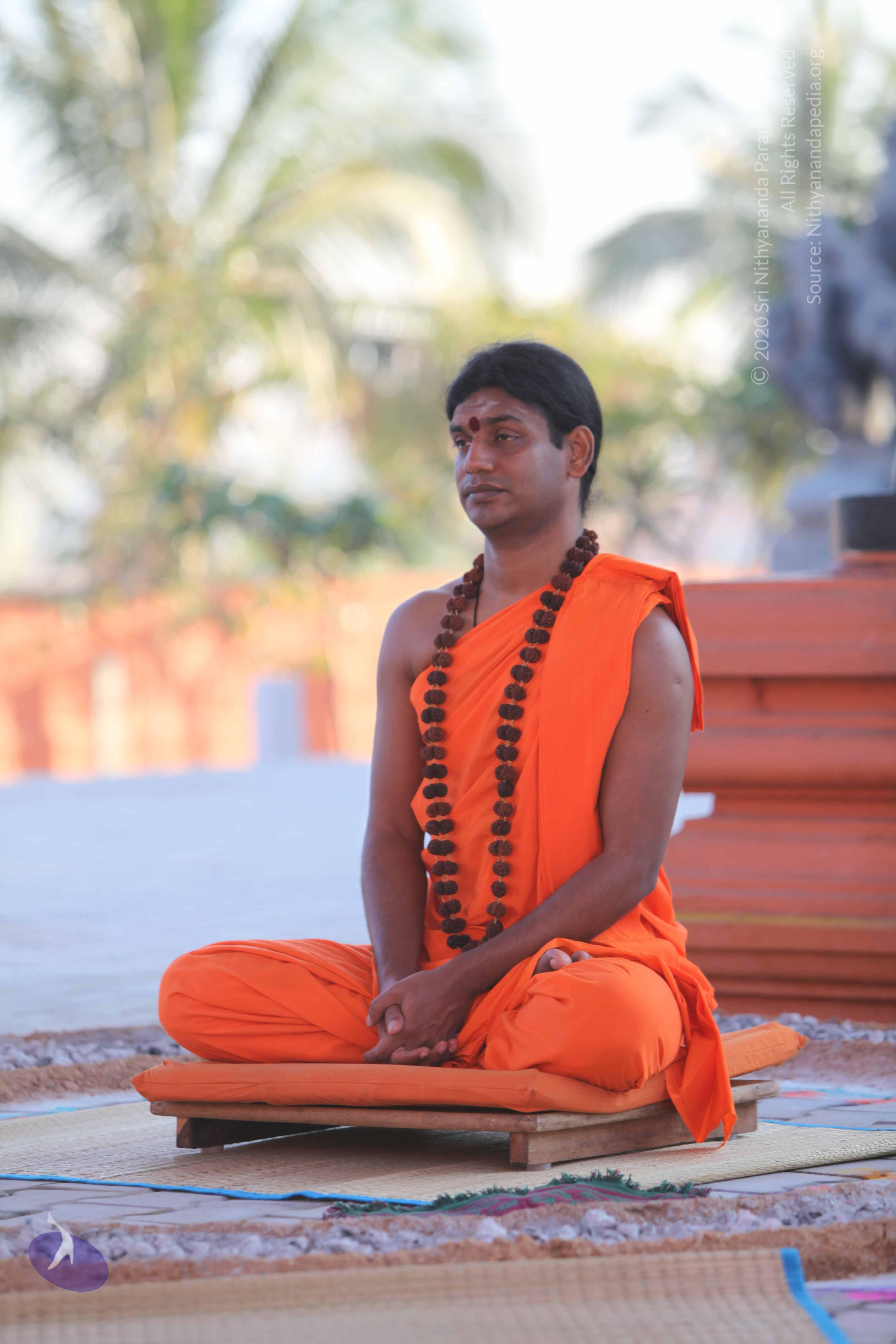 20110201_Photo_1100_IMG_2473_CMP_WM