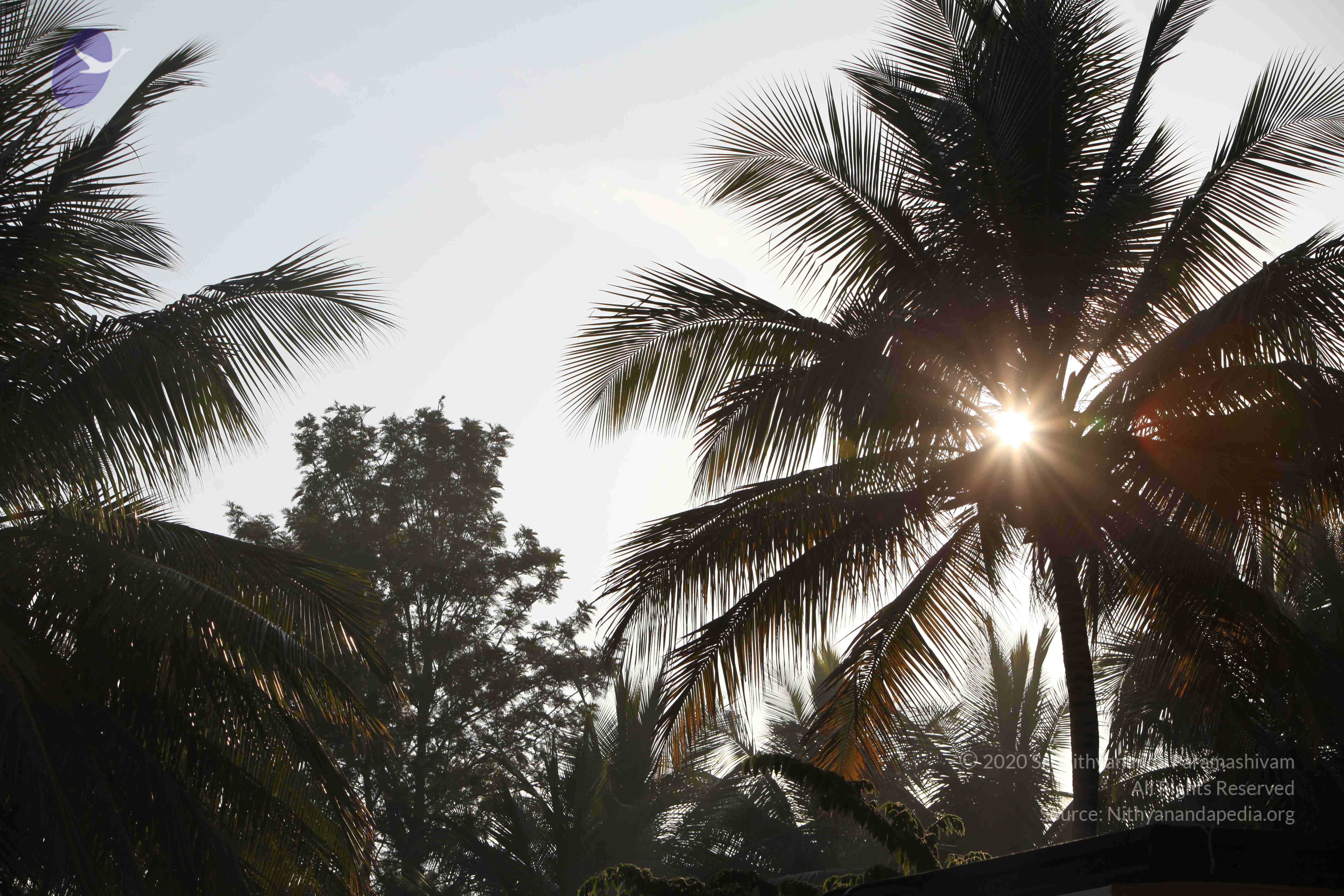 20110201_Photo_1105_IMG_2462_CMP_WM