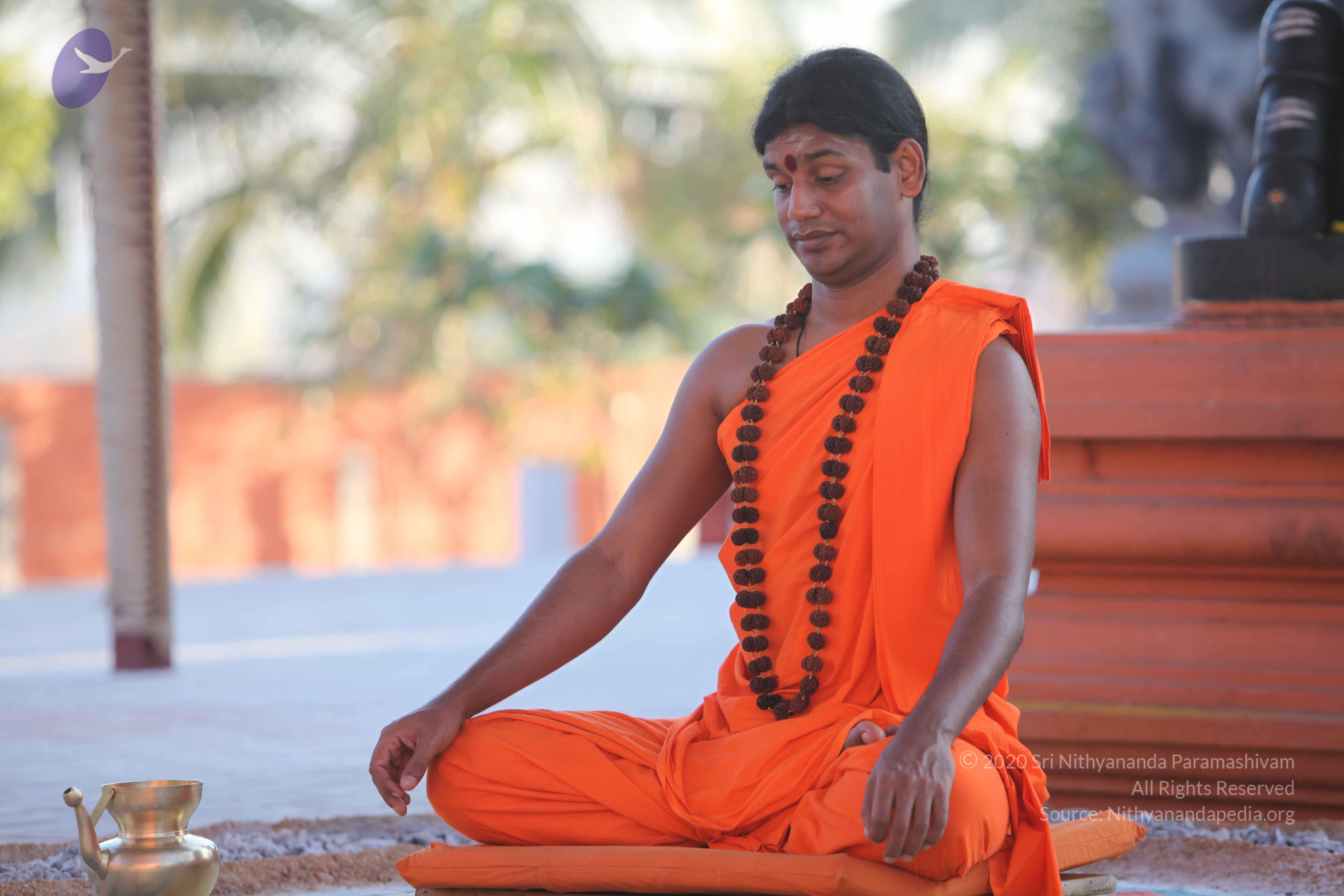 20110201_Photo_1106_IMG_2523_CMP_WM