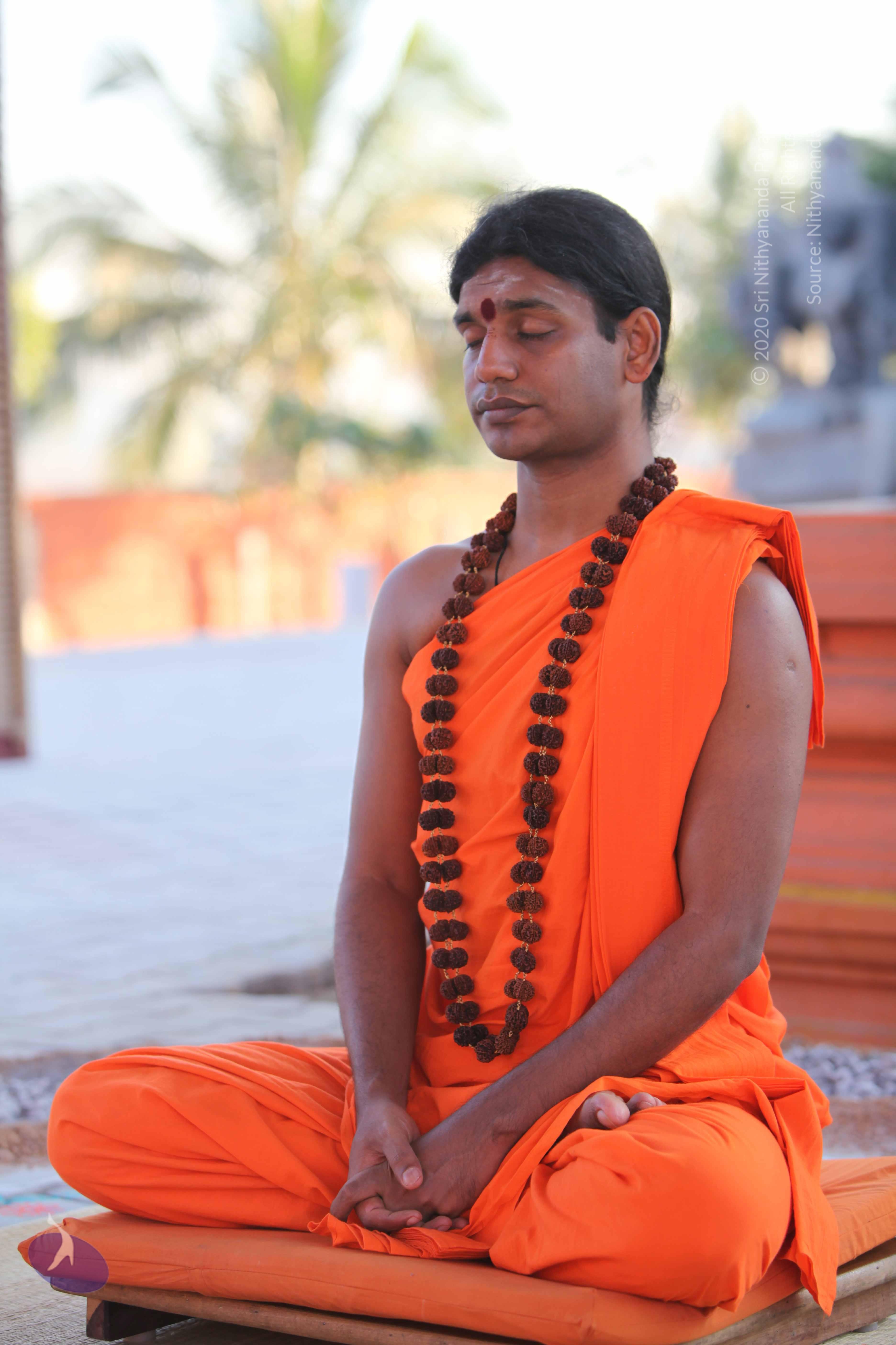 20110201_Photo_1108_IMG_2437_CMP_WM