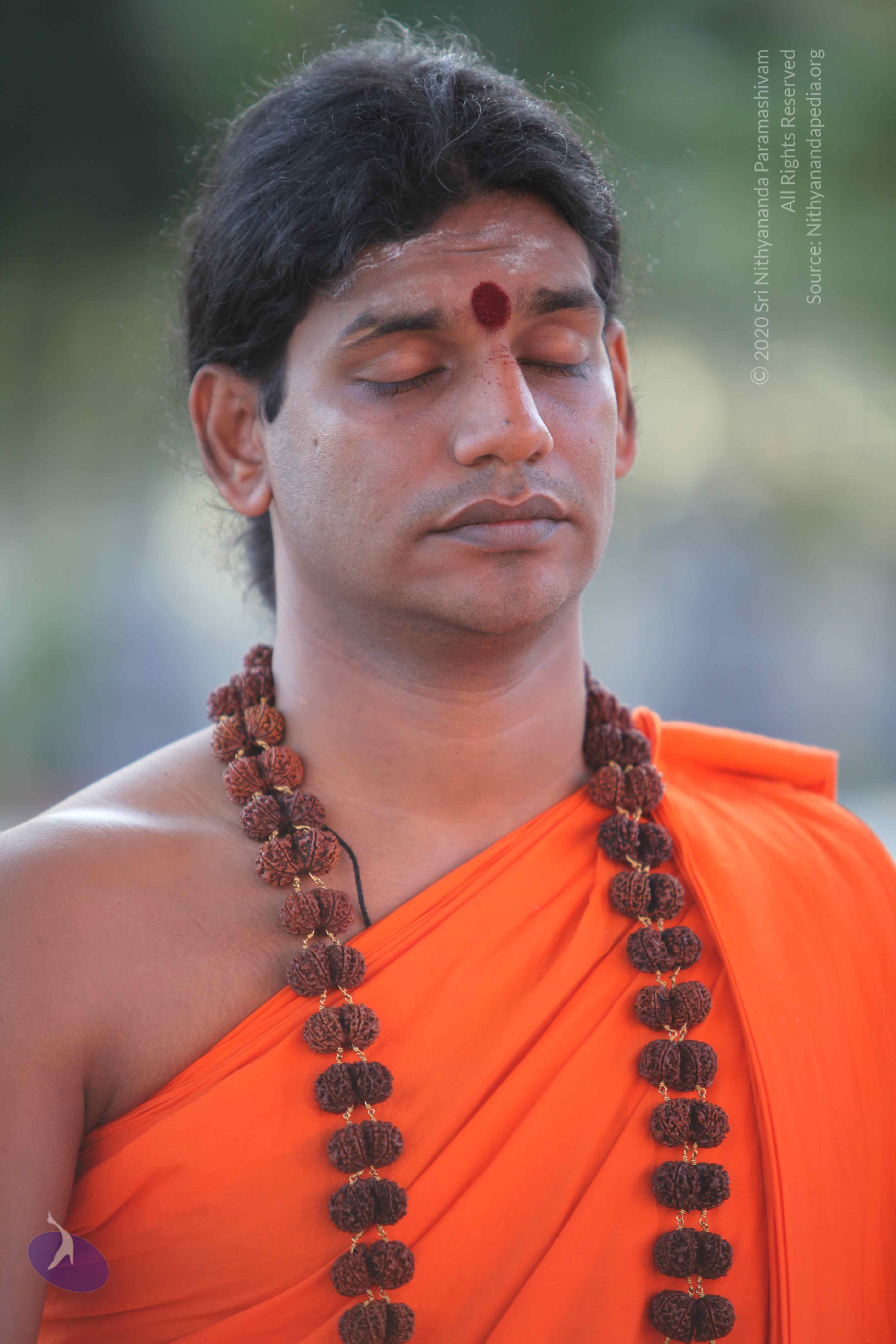 20110201_Photo_1109_IMG_2400_CMP_WM