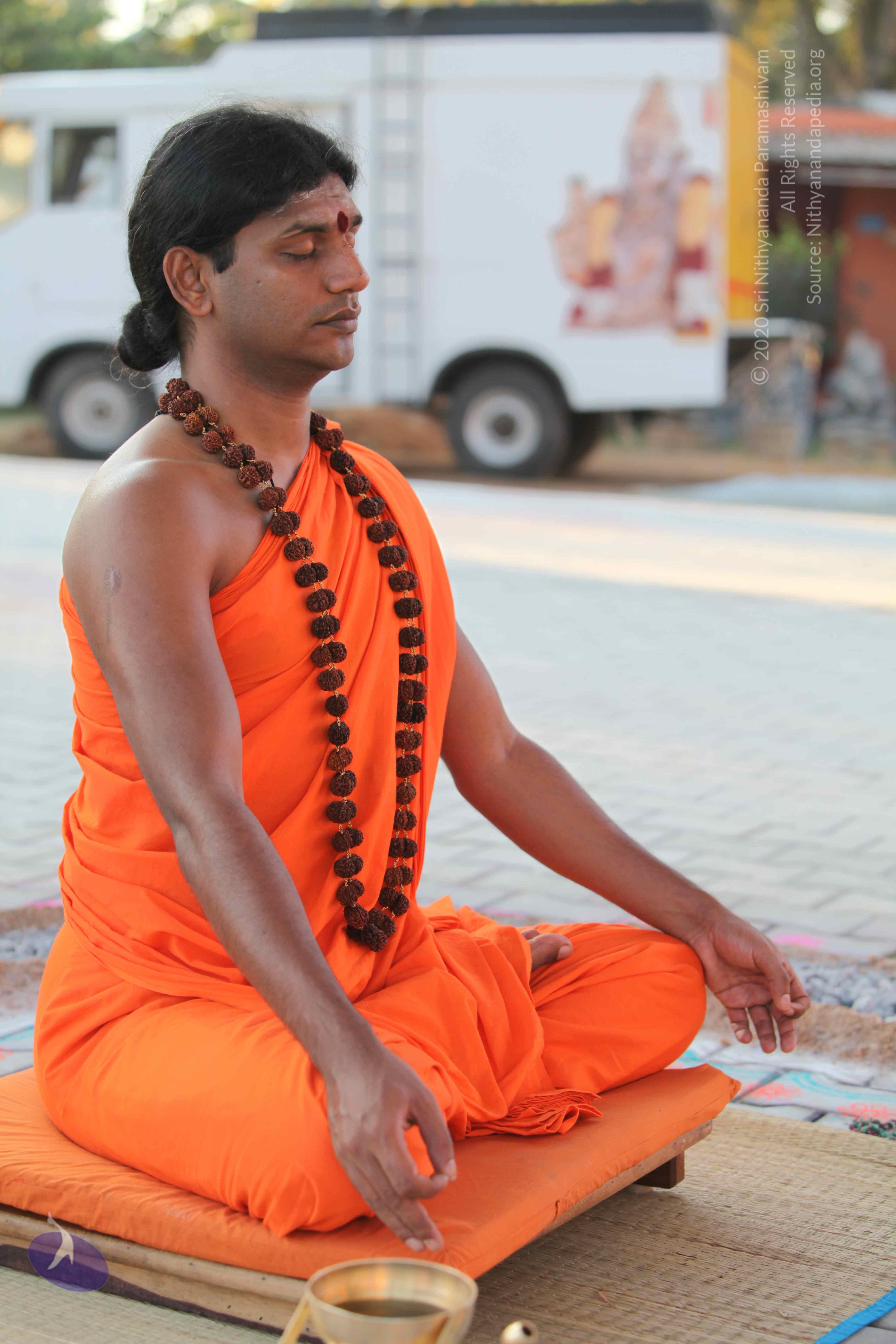 20110201_Photo_1112_IMG_2381_CMP_WM