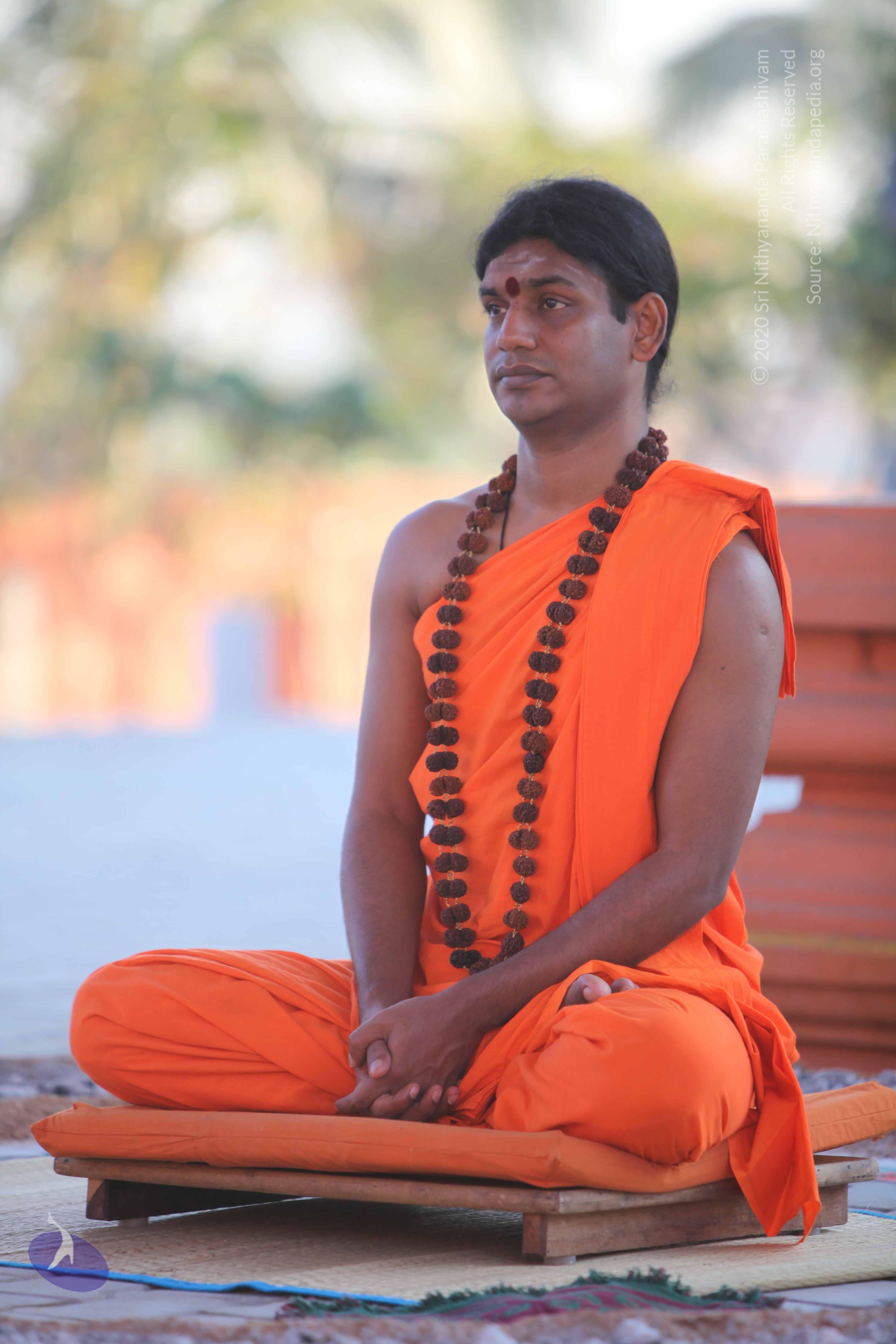 20110201_Photo_1113_IMG_2481_CMP_WM