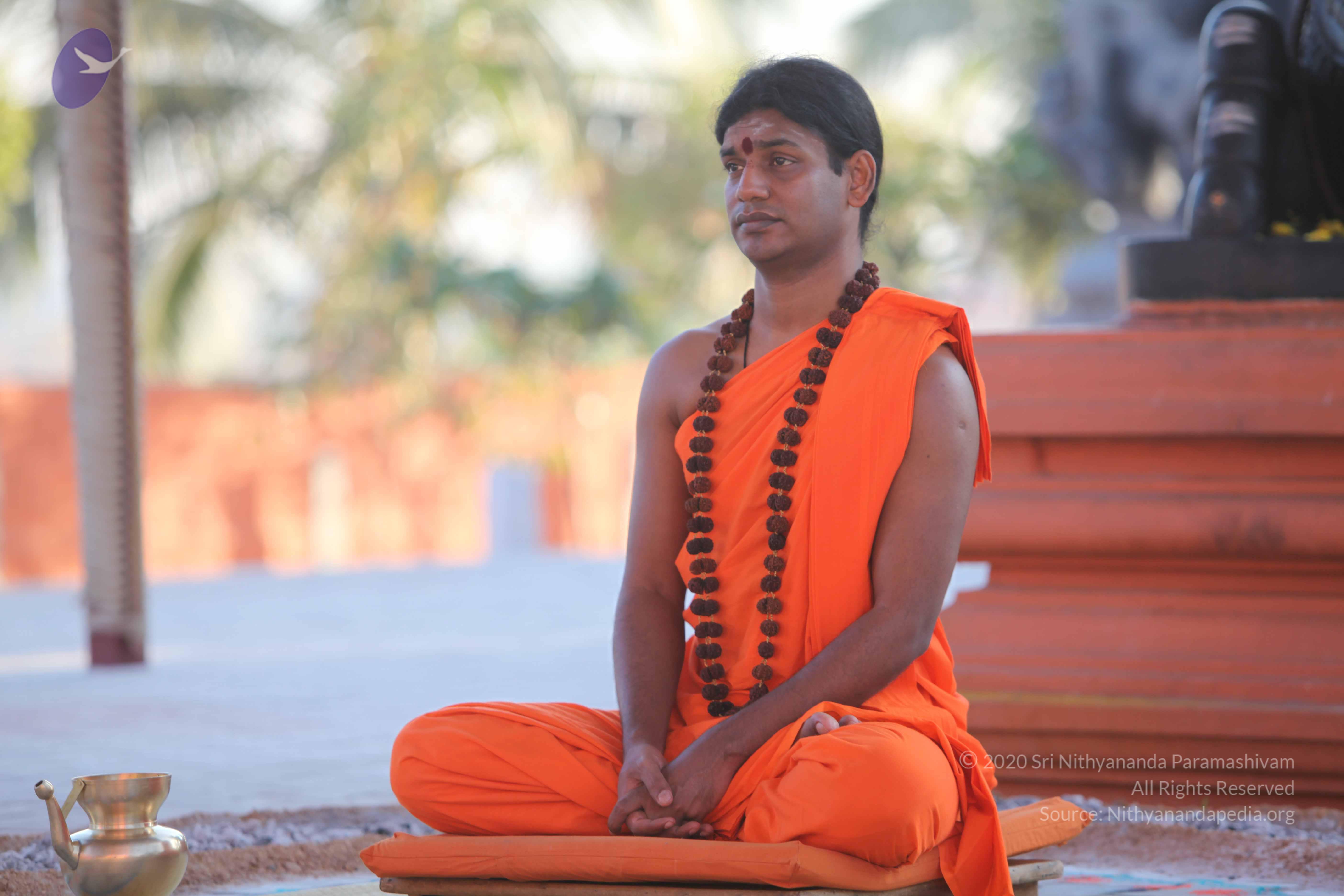 20110201_Photo_1114_IMG_2498_CMP_WM