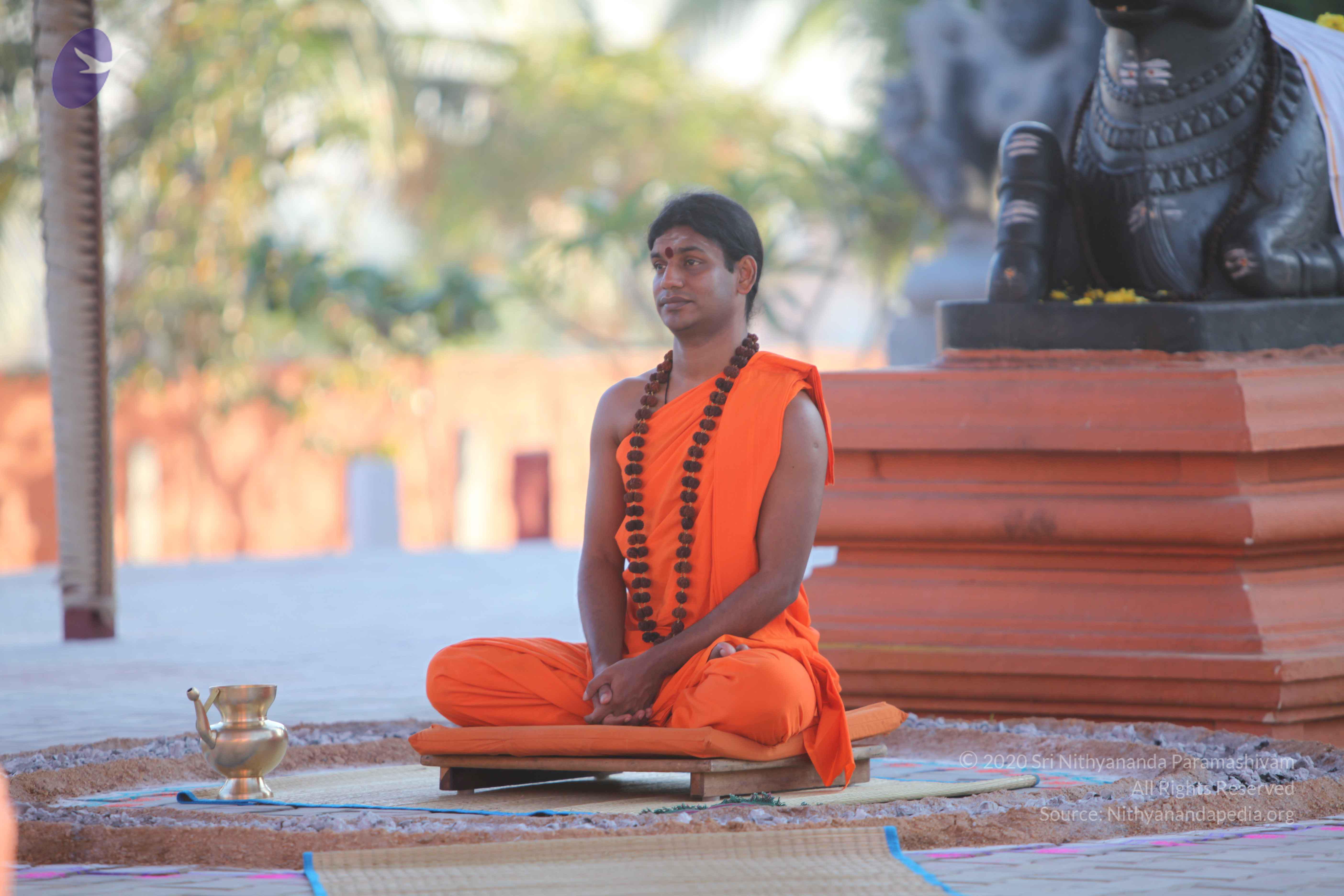 20110201_Photo_1115_IMG_2467_CMP_WM