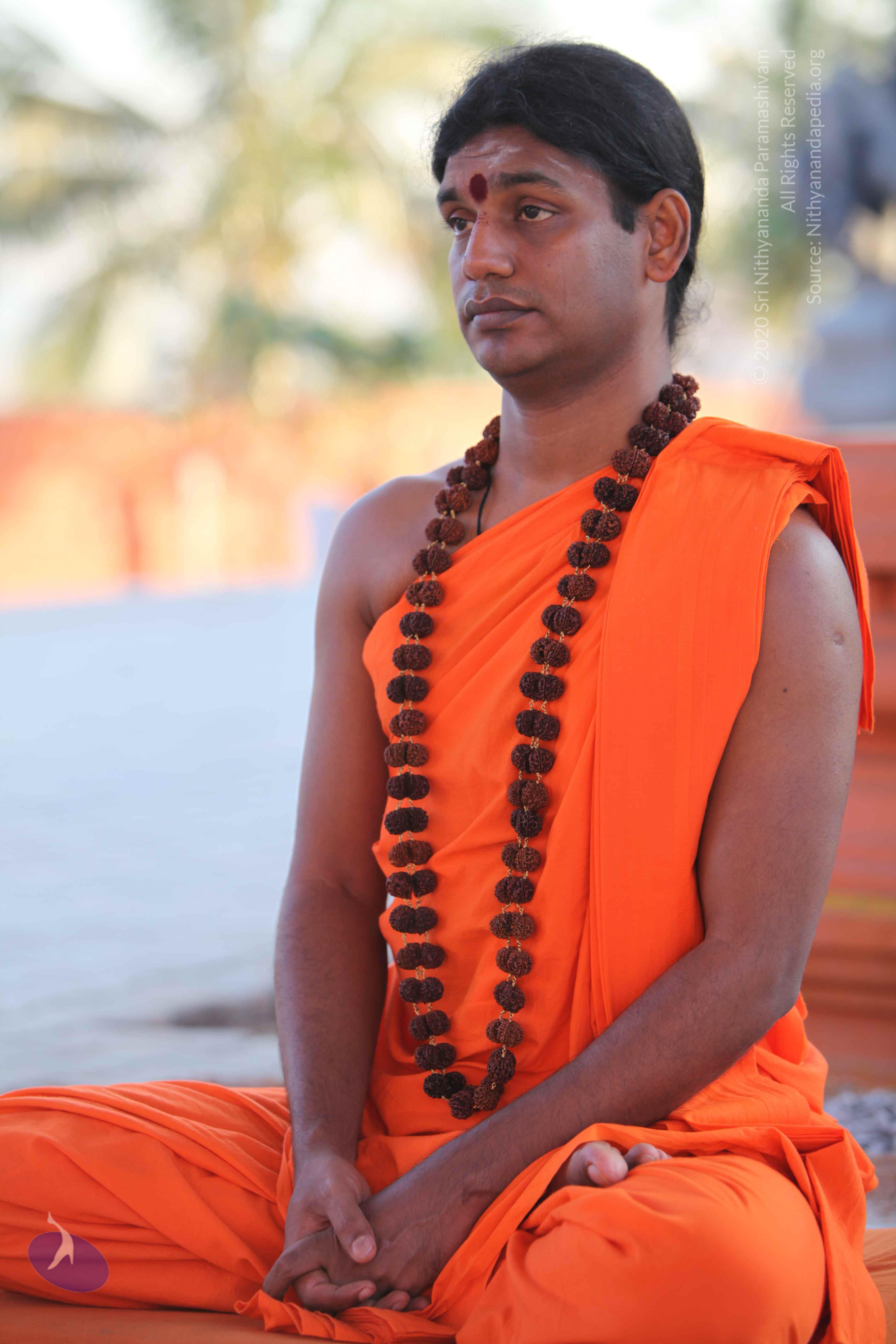 20110201_Photo_1116_IMG_2450_CMP_WM