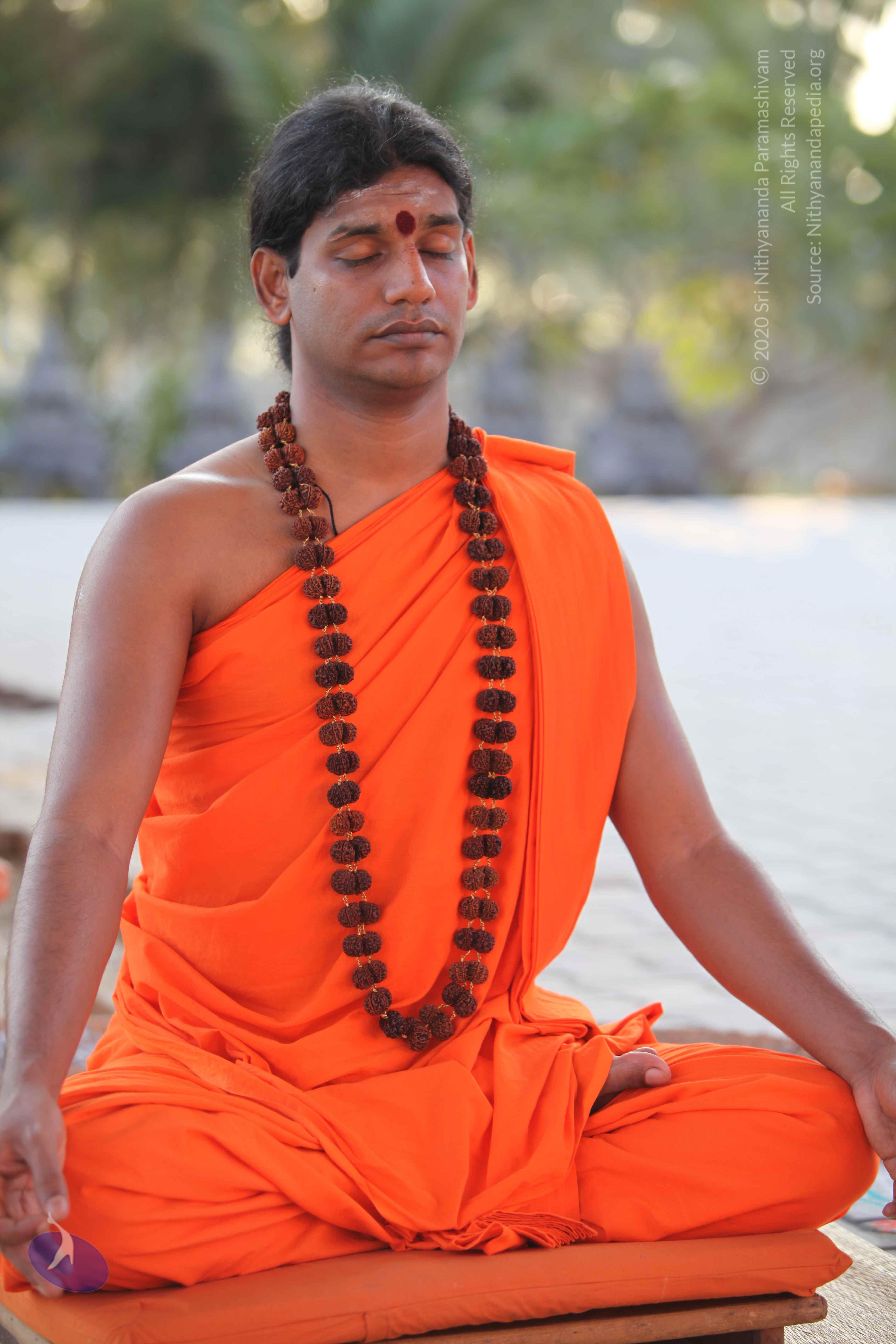 20110201_Photo_1118_IMG_2405_CMP_WM