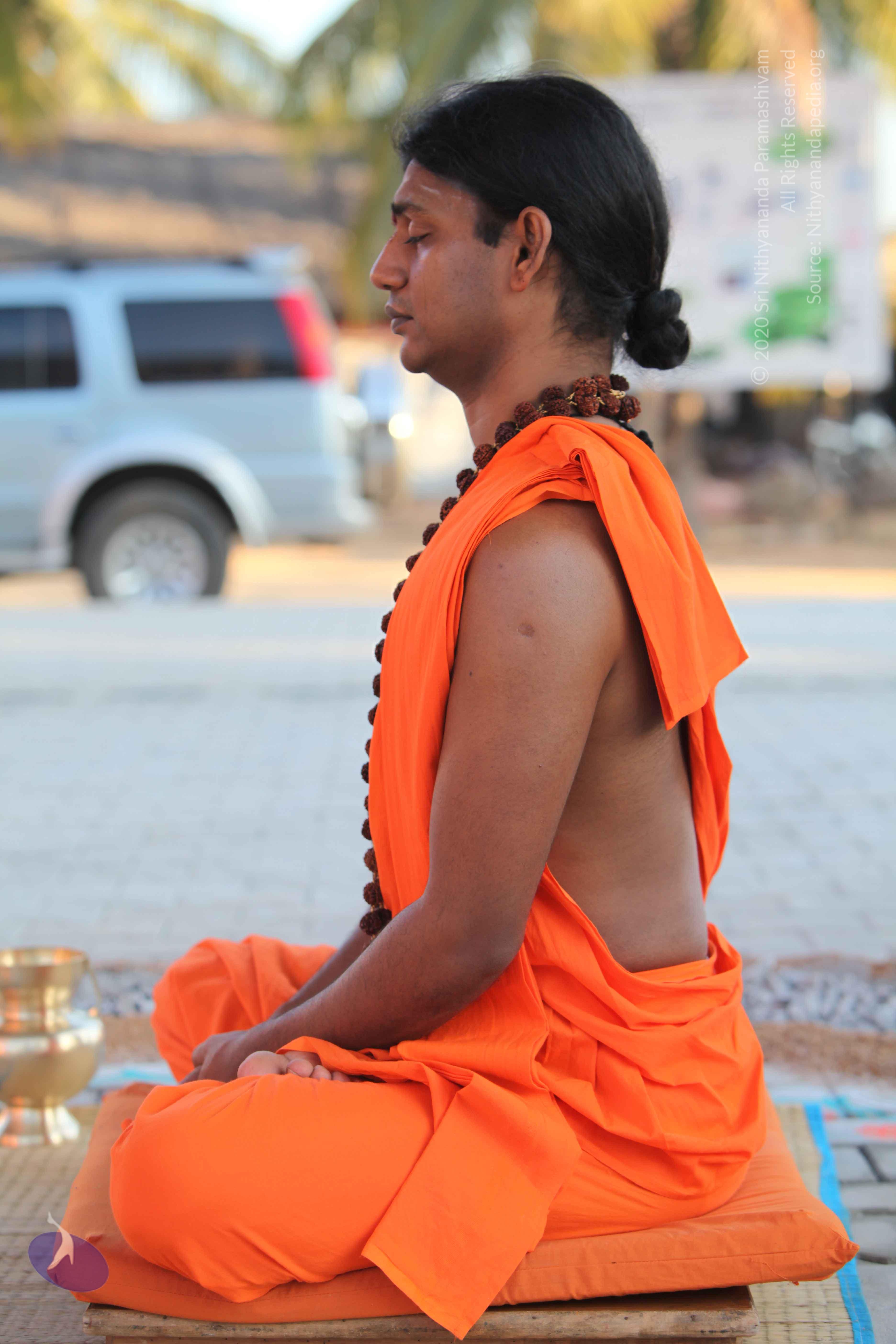 20110201_Photo_1119_IMG_2432_CMP_WM