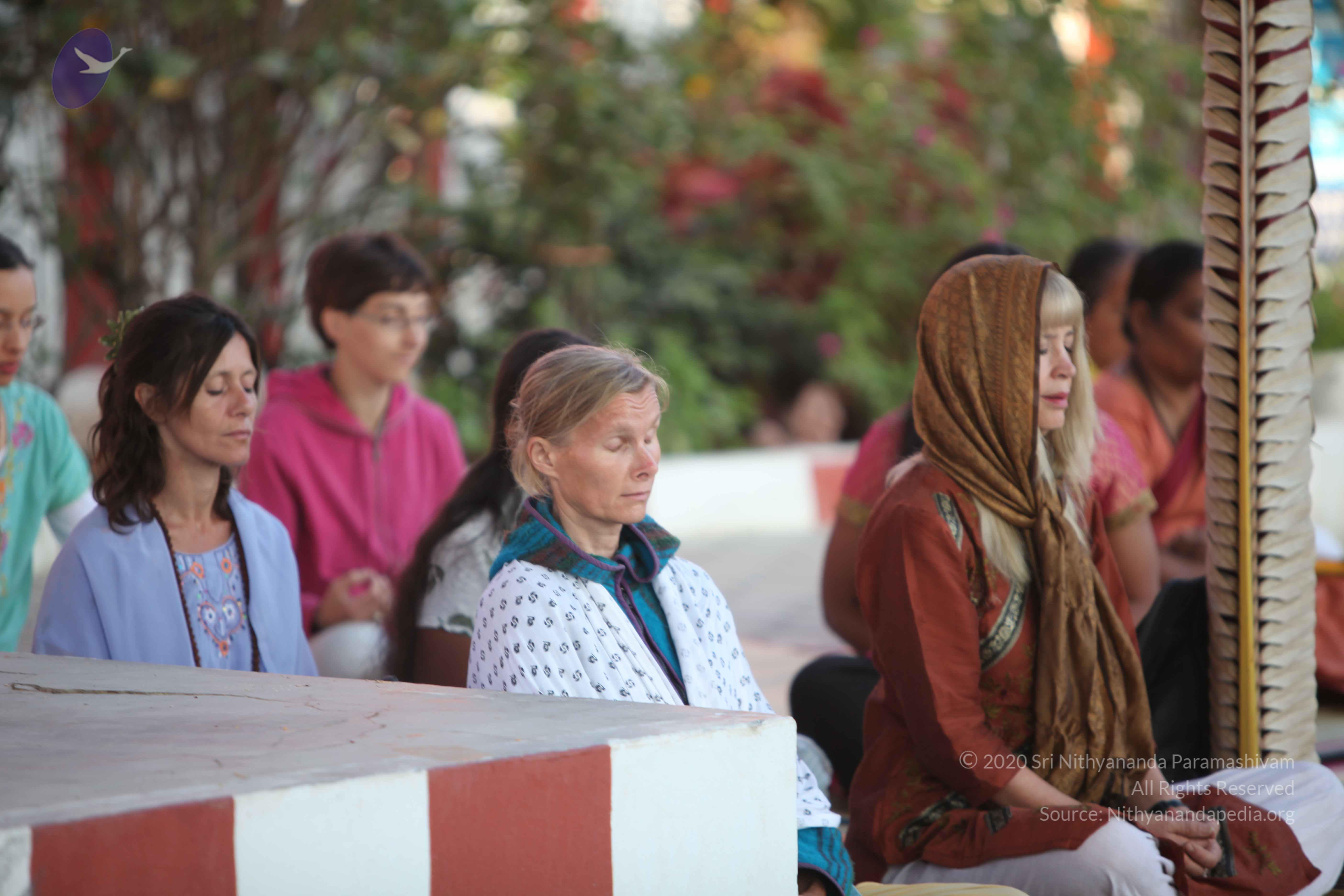 20110201_Photo_1124_IMG_2419_CMP_WM