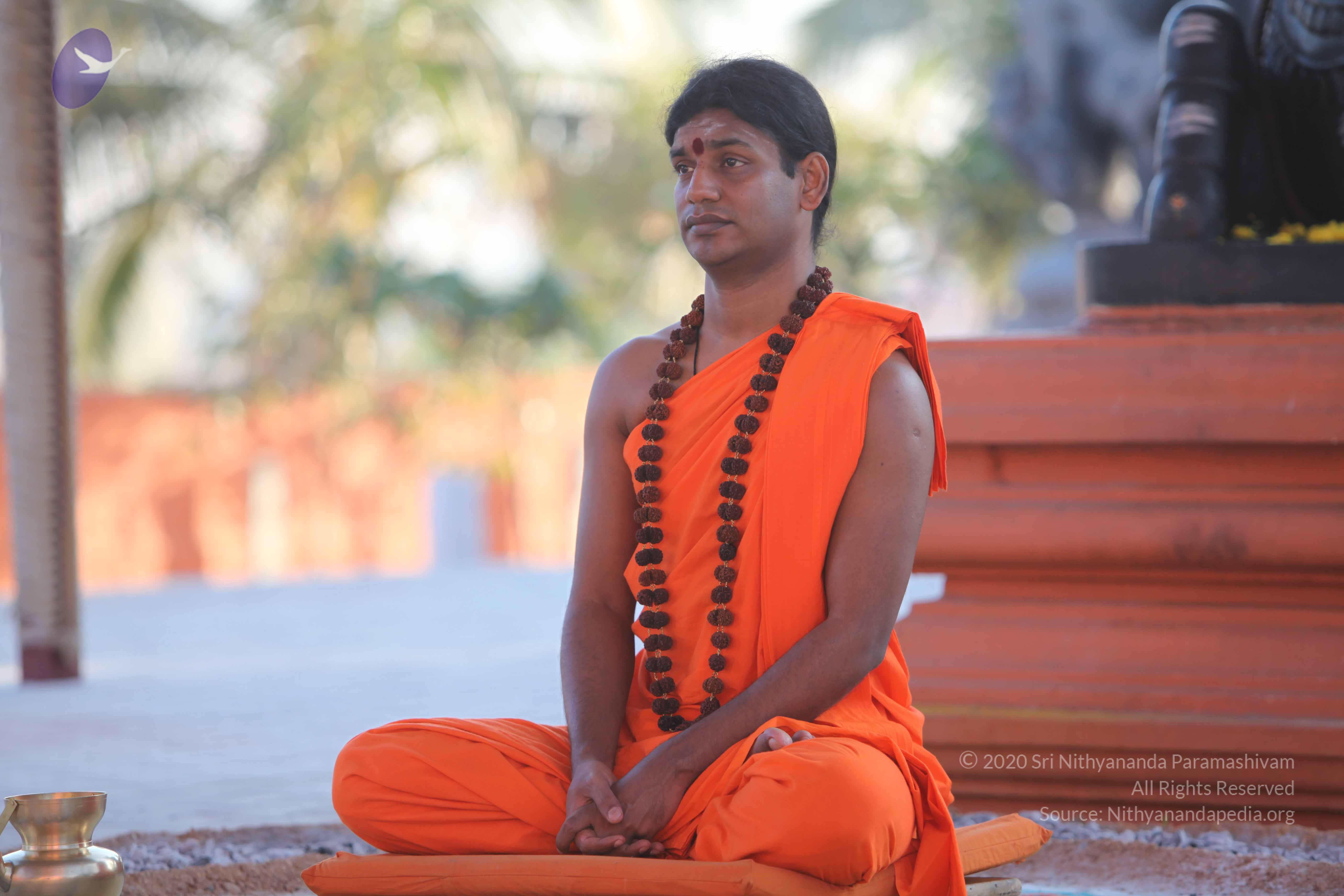 20110201_Photo_1127_IMG_2495_CMP_WM