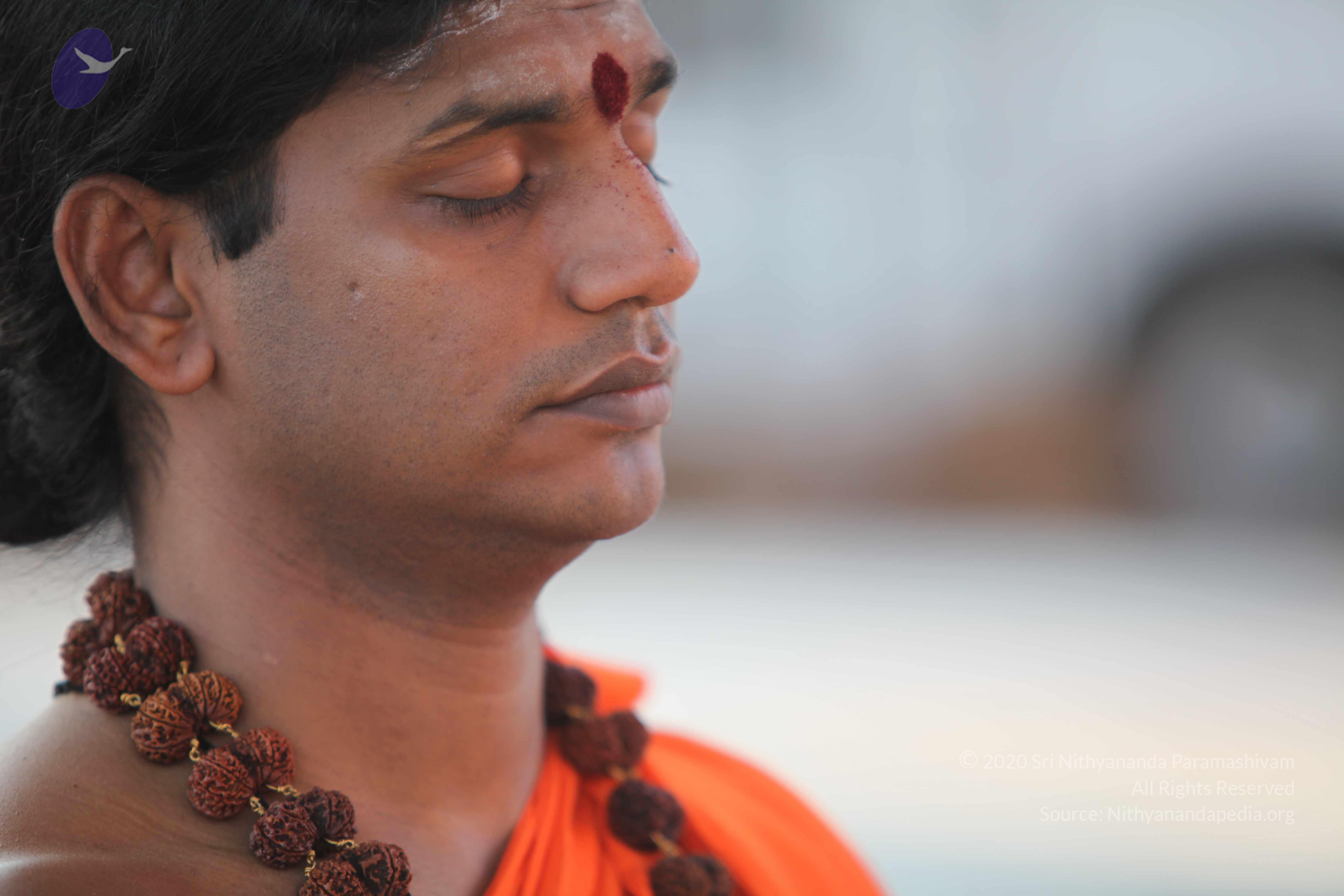 20110201_Photo_1128_IMG_2395_CMP_WM