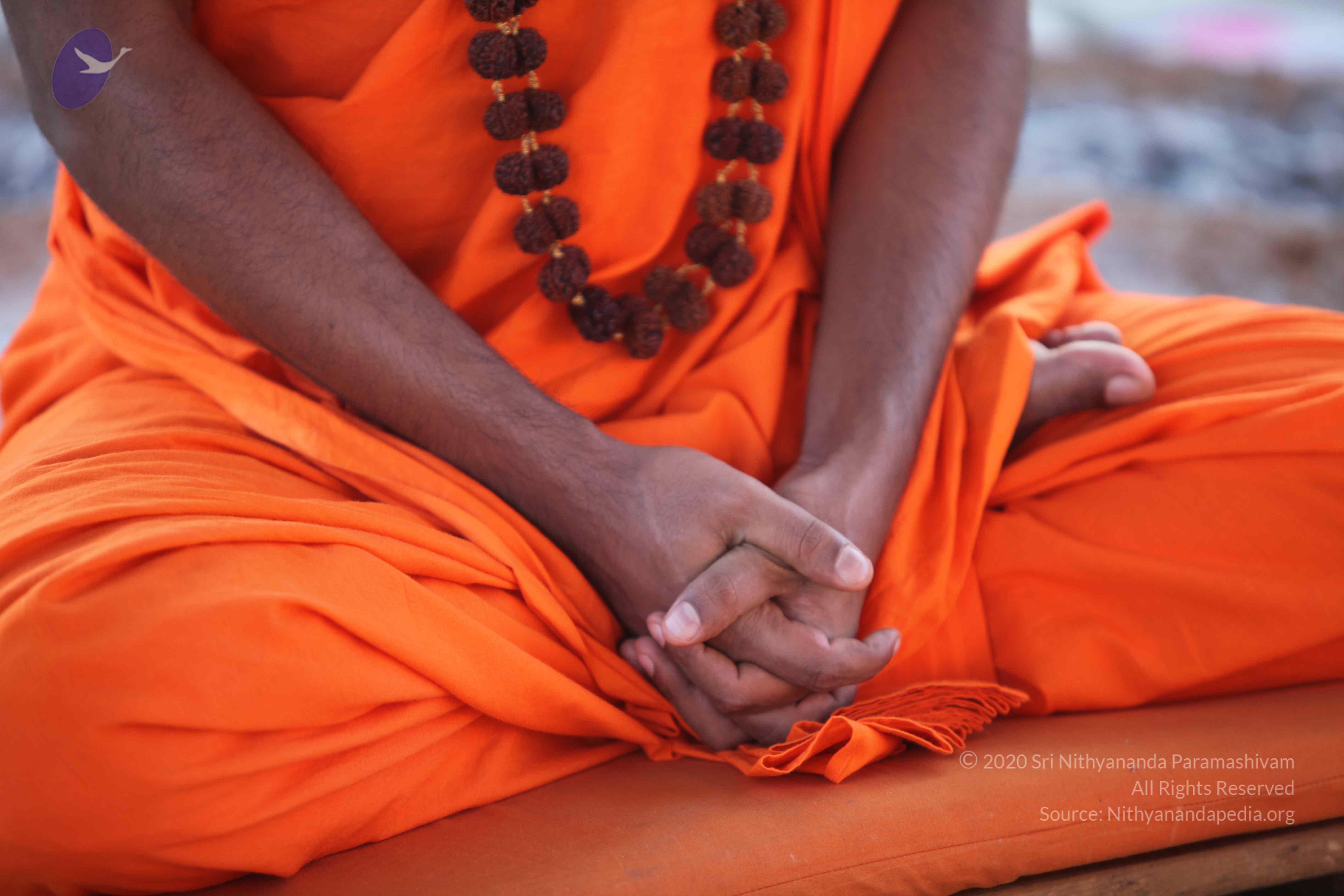 20110201_Photo_1132_IMG_2414_CMP_WM