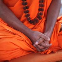 20110201_Photo_1132_IMG_2414_CMP_WM