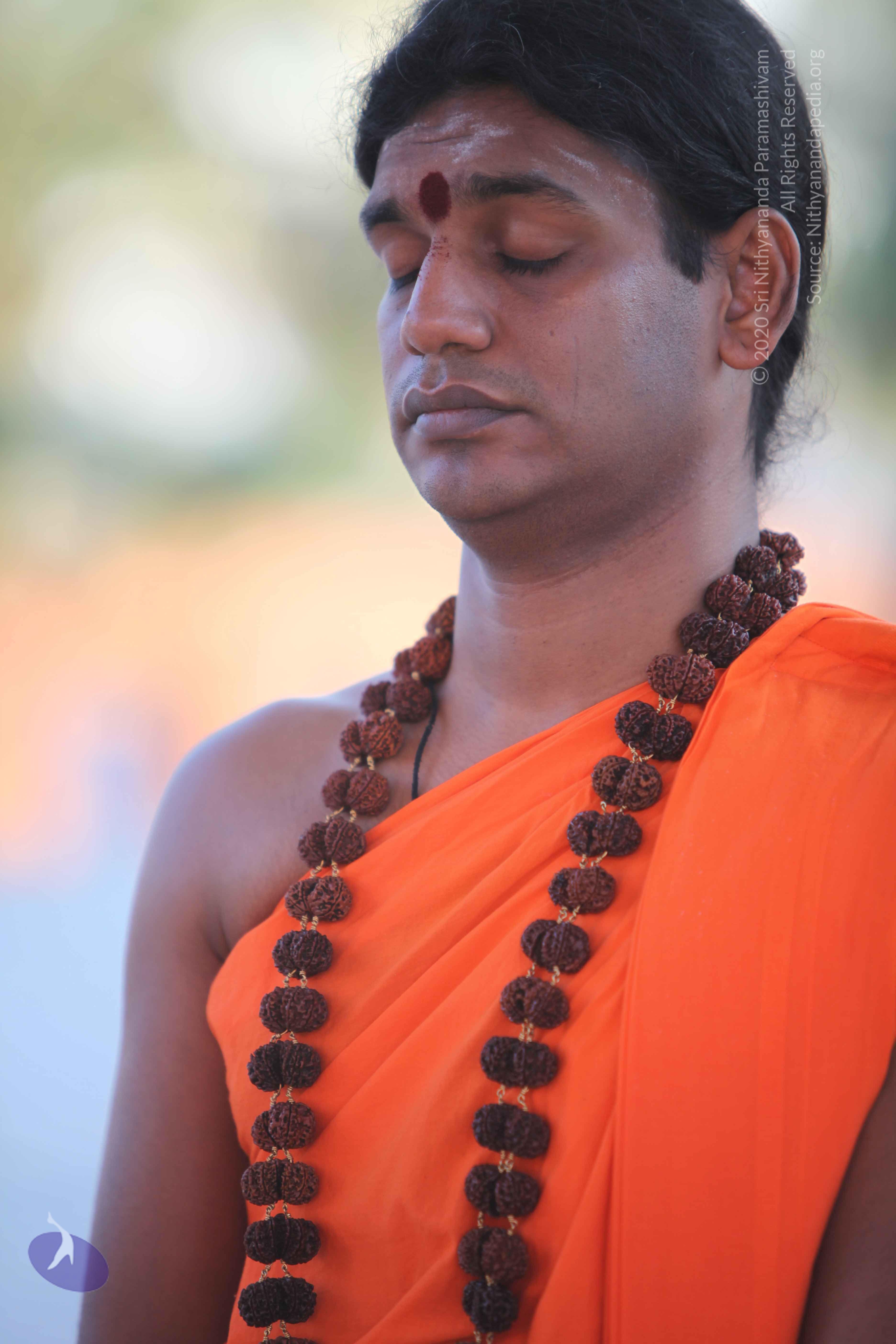 20110201_Photo_1136_IMG_2441_CMP_WM