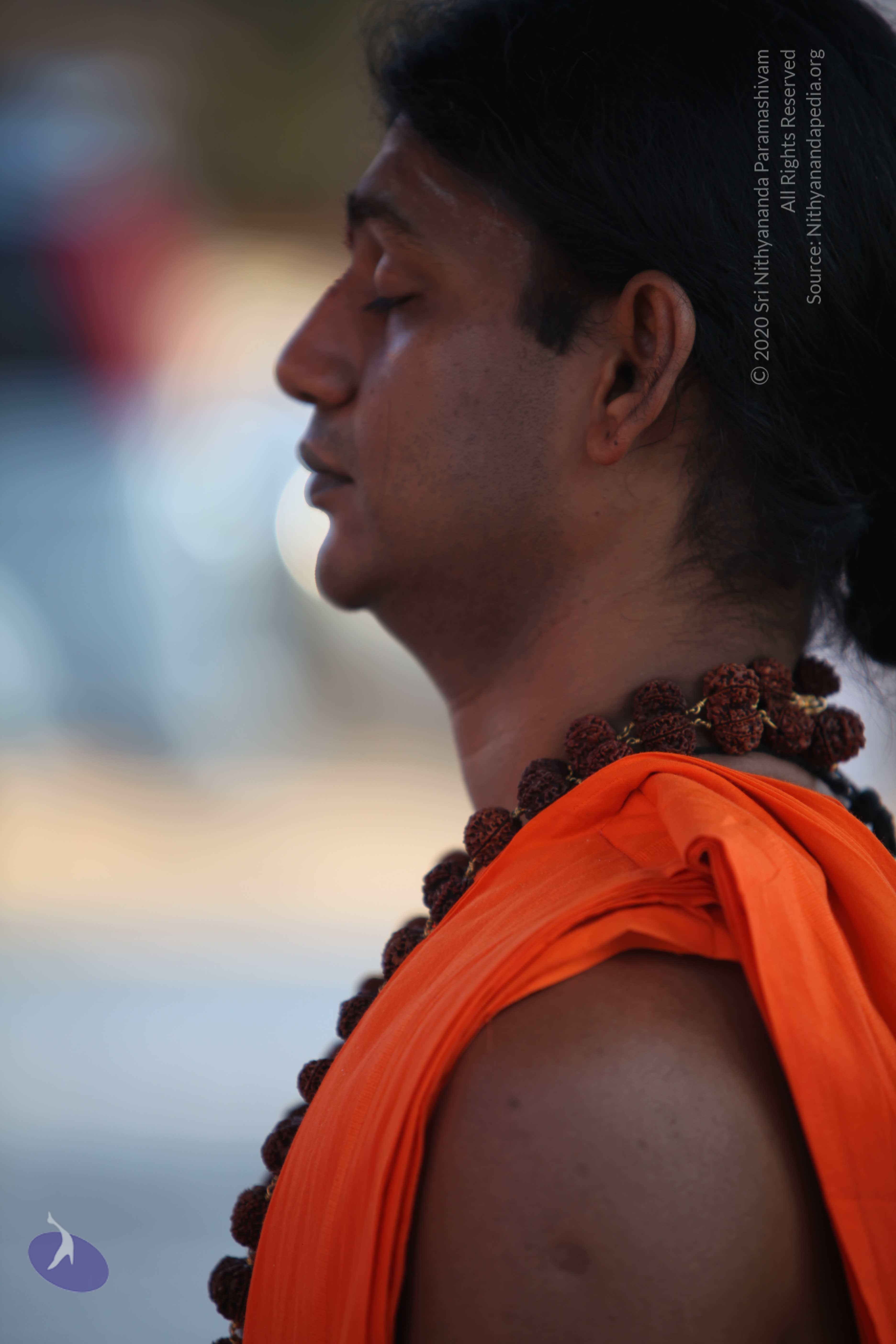 20110201_Photo_1140_IMG_2424_CMP_WM